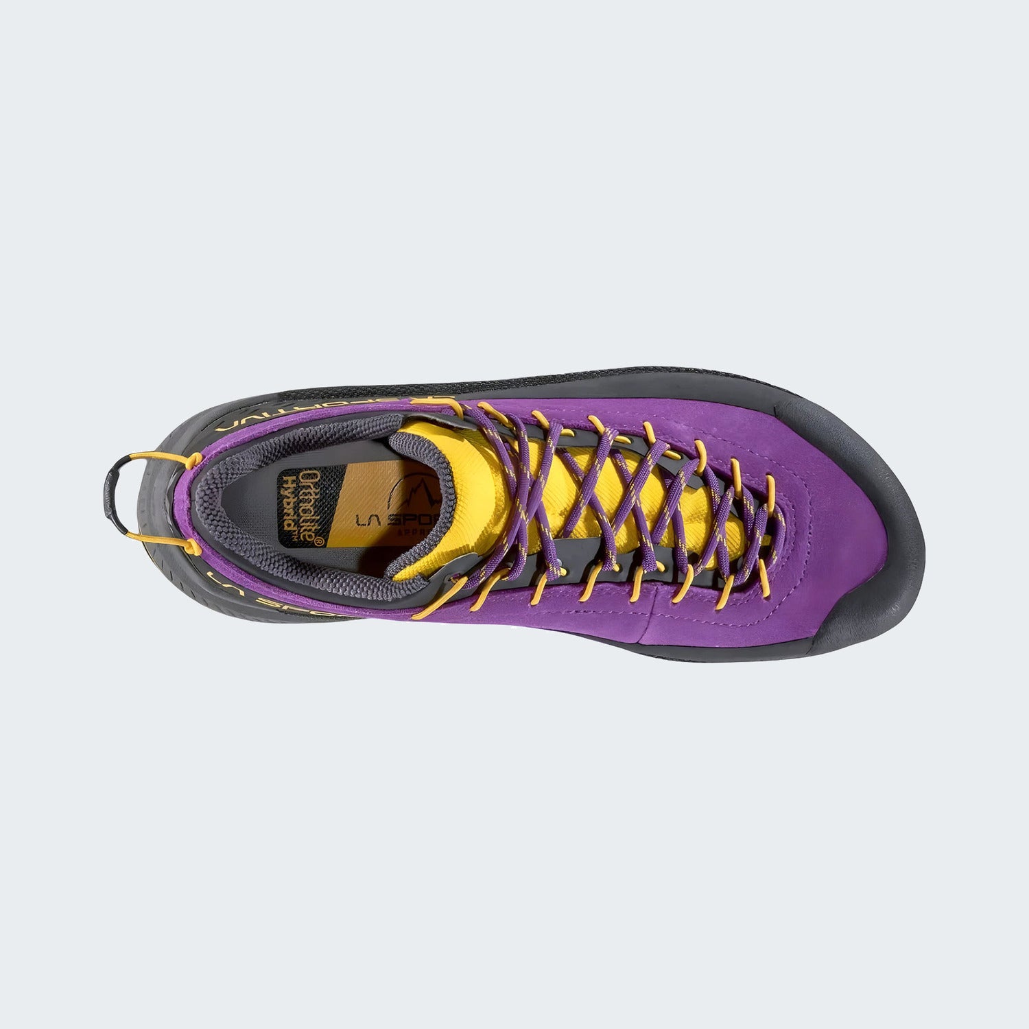 Purple/Yellow