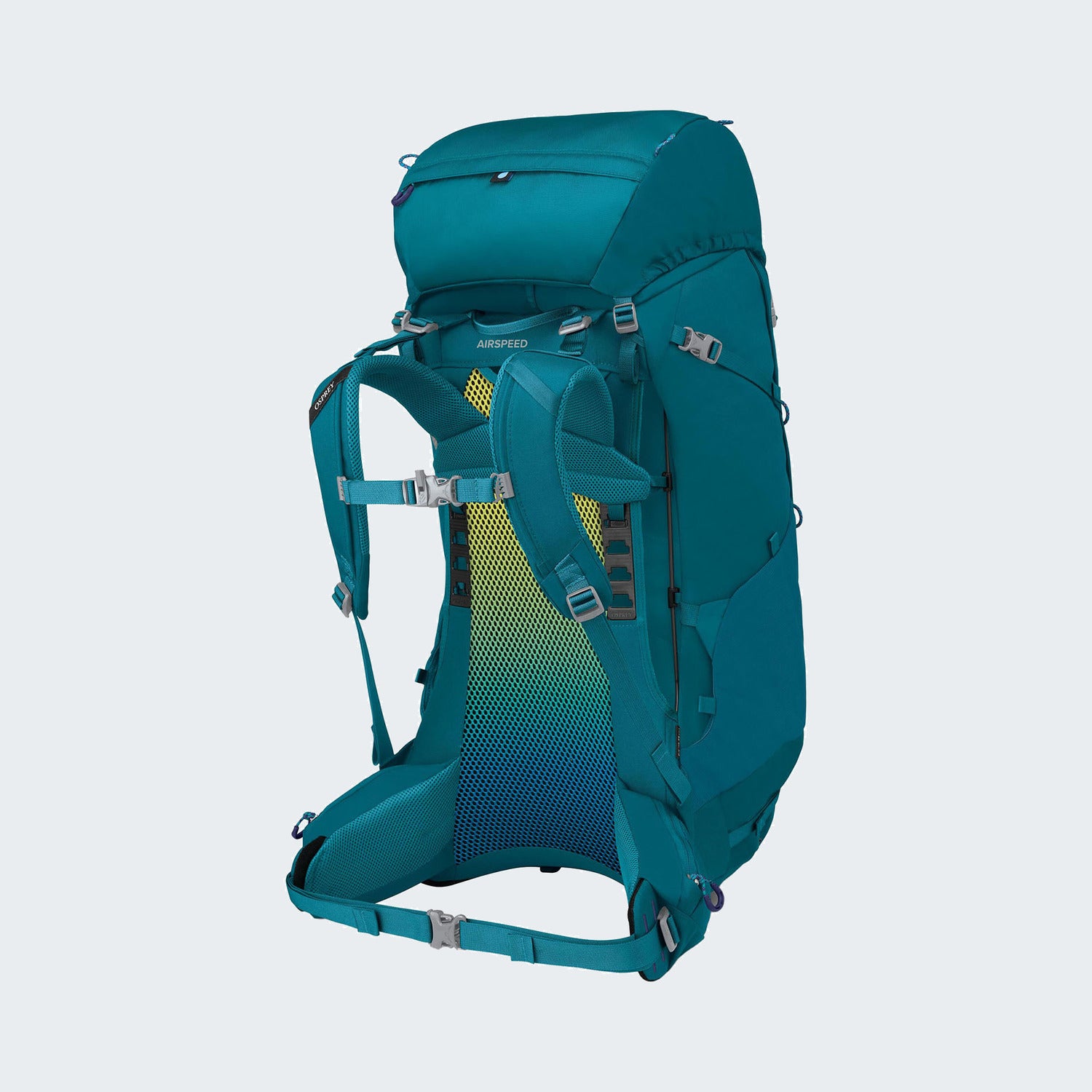 Blue Spikemoss Deep Peyto