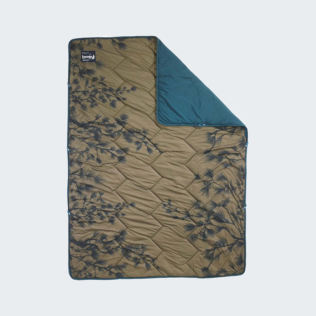 Peeking Pine Print