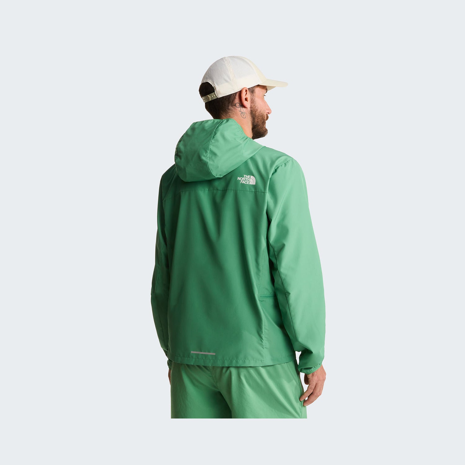 Dimmed Algae
