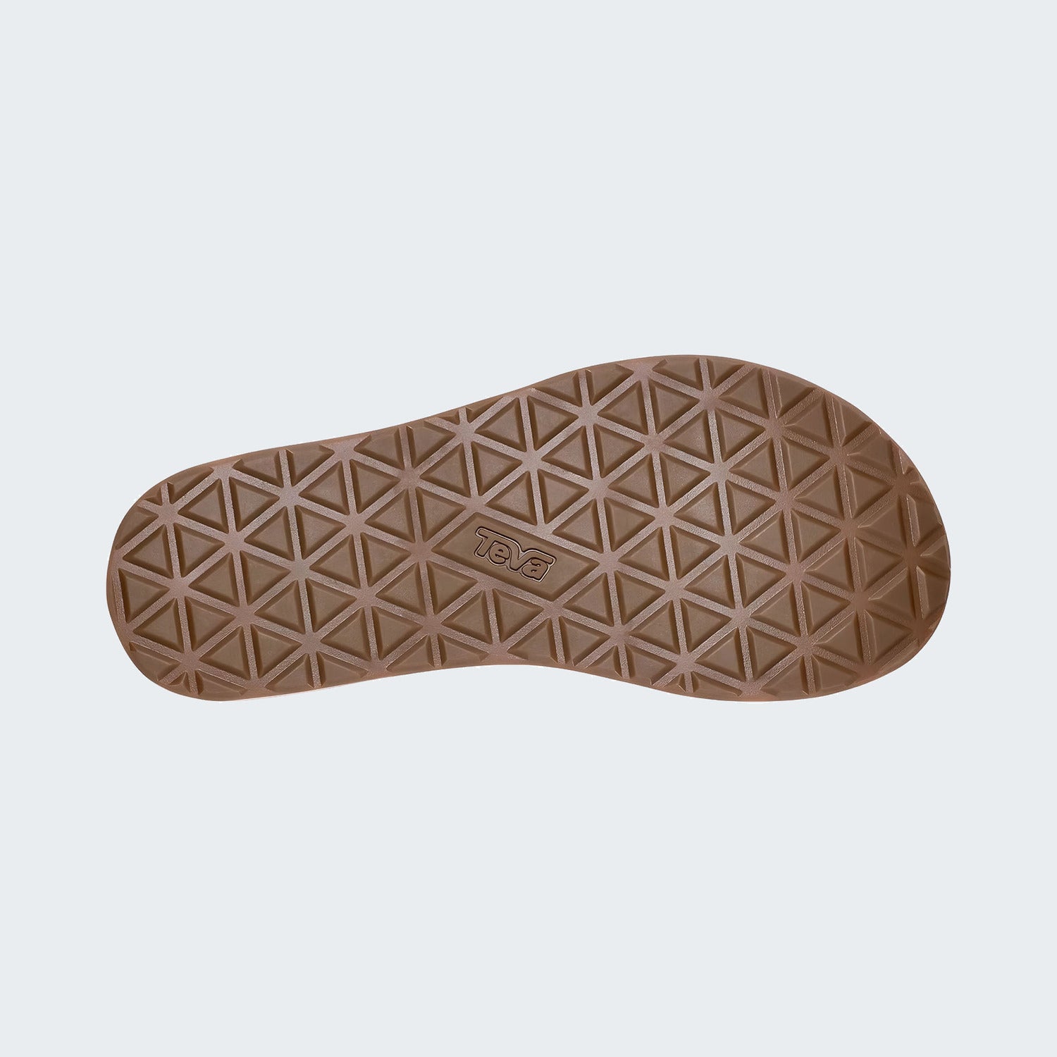 Acorn