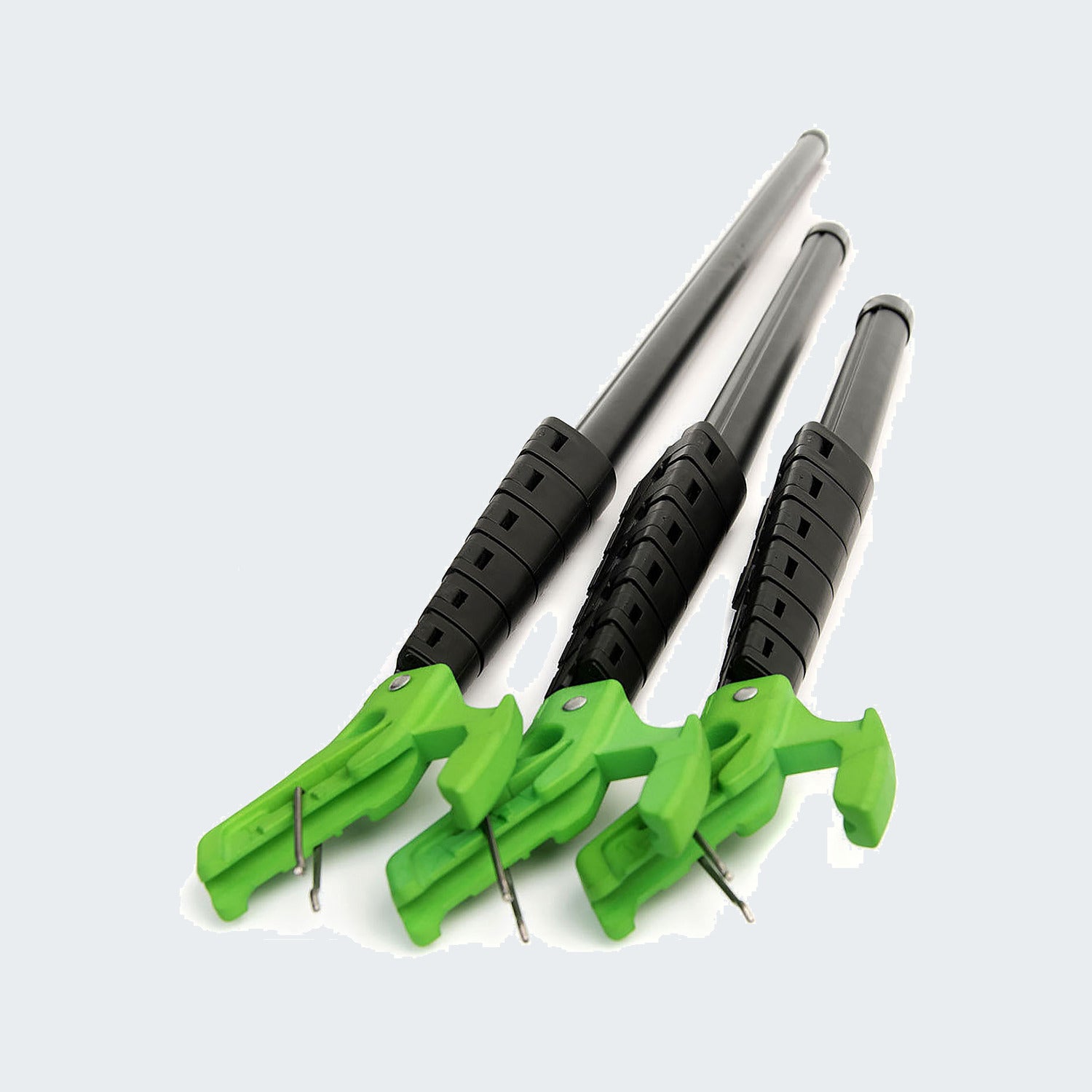 Black-Green
