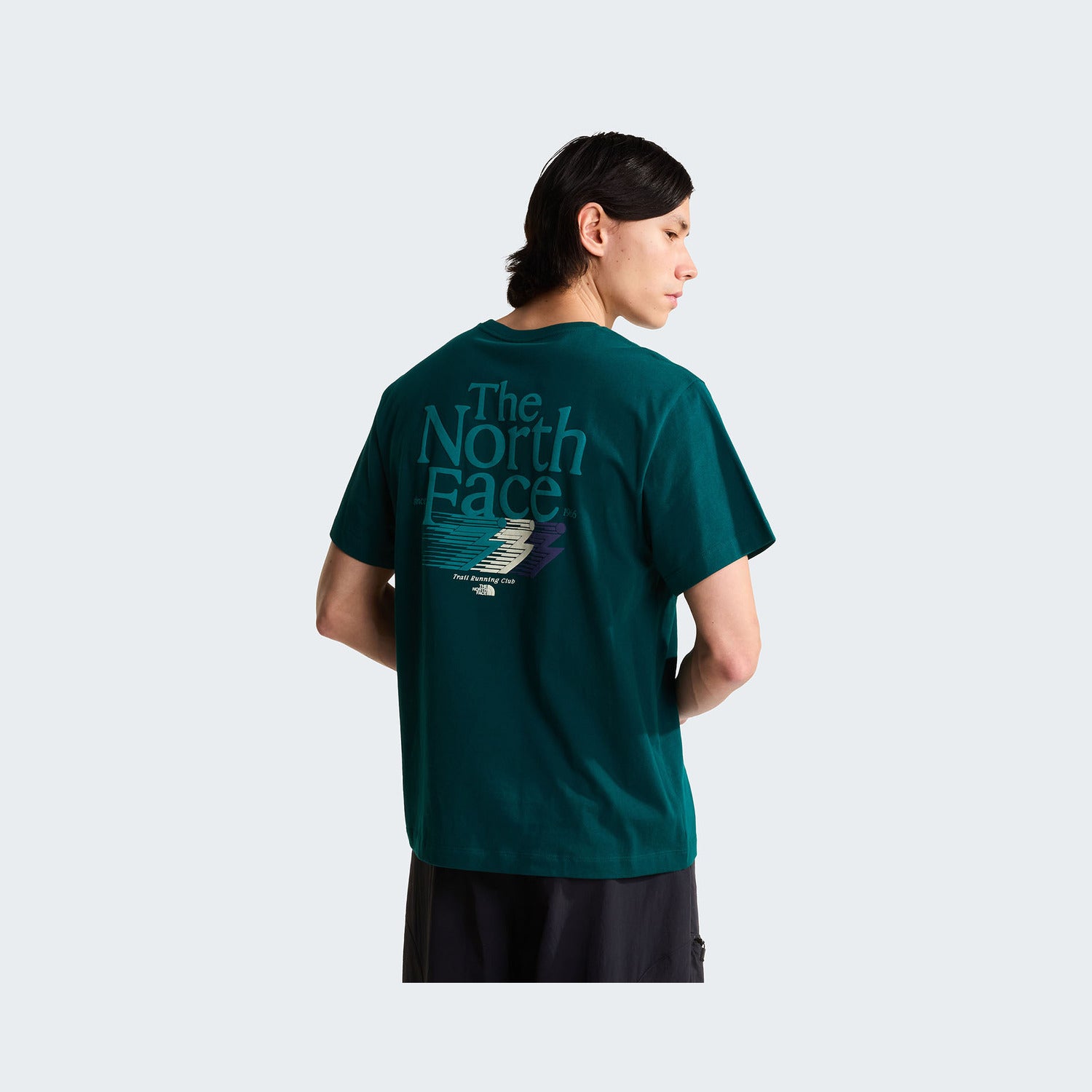Pacific Teal