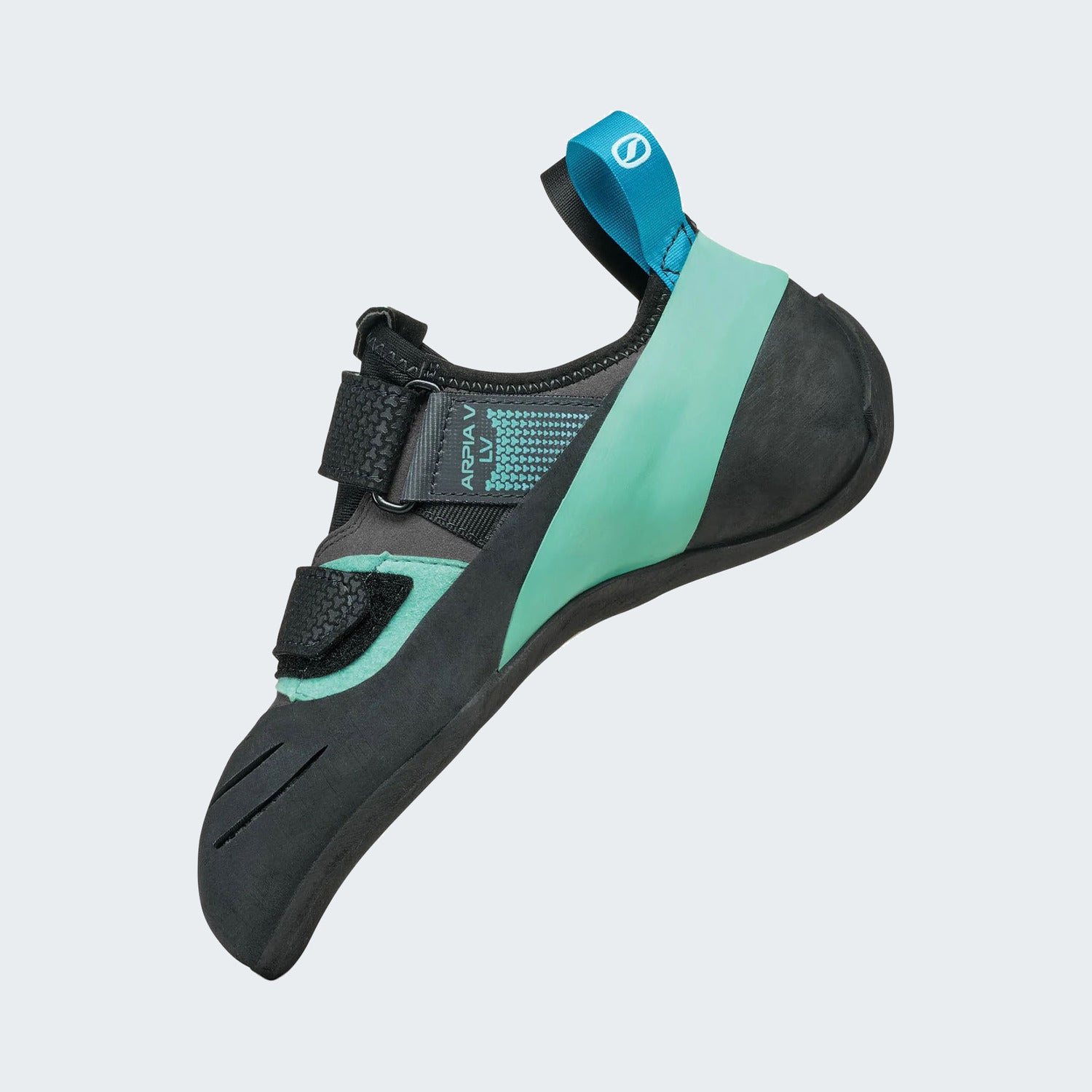 Shark-Aqua