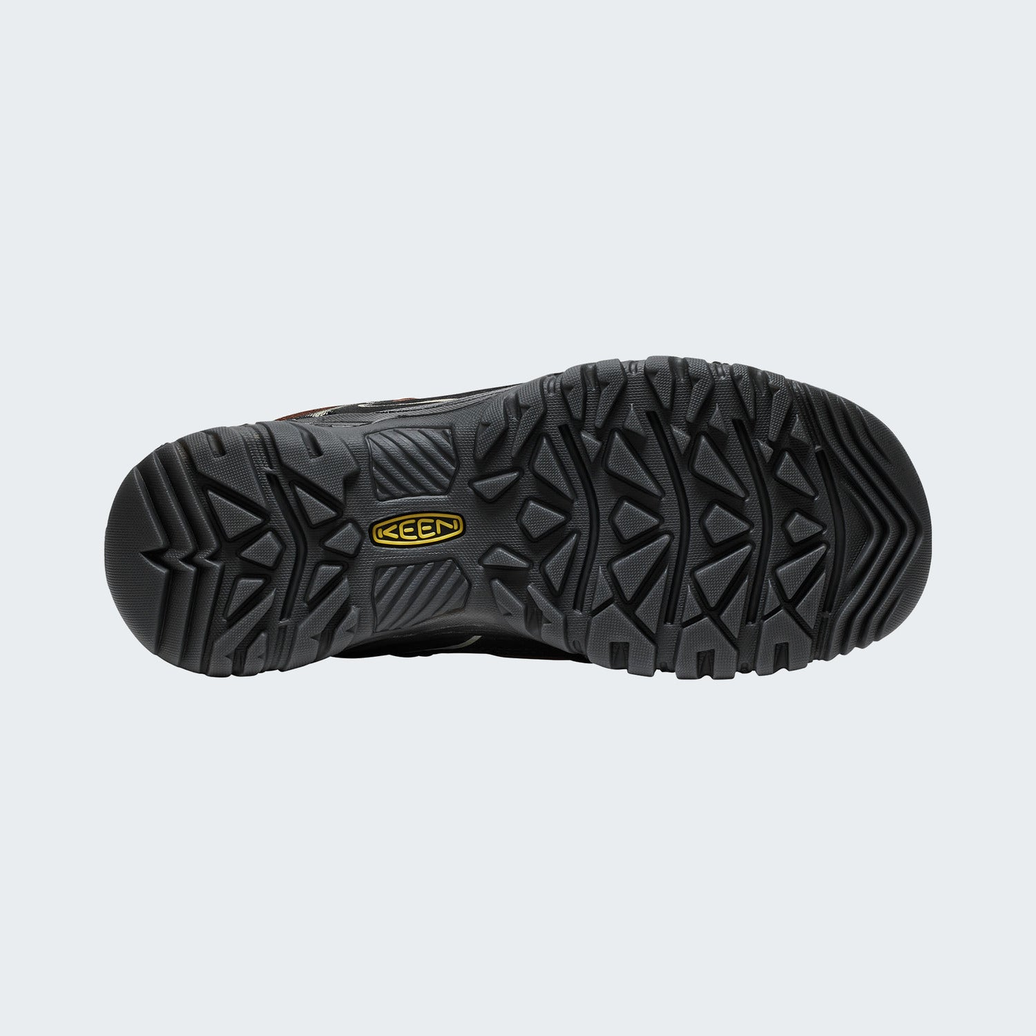 Bison/Black
