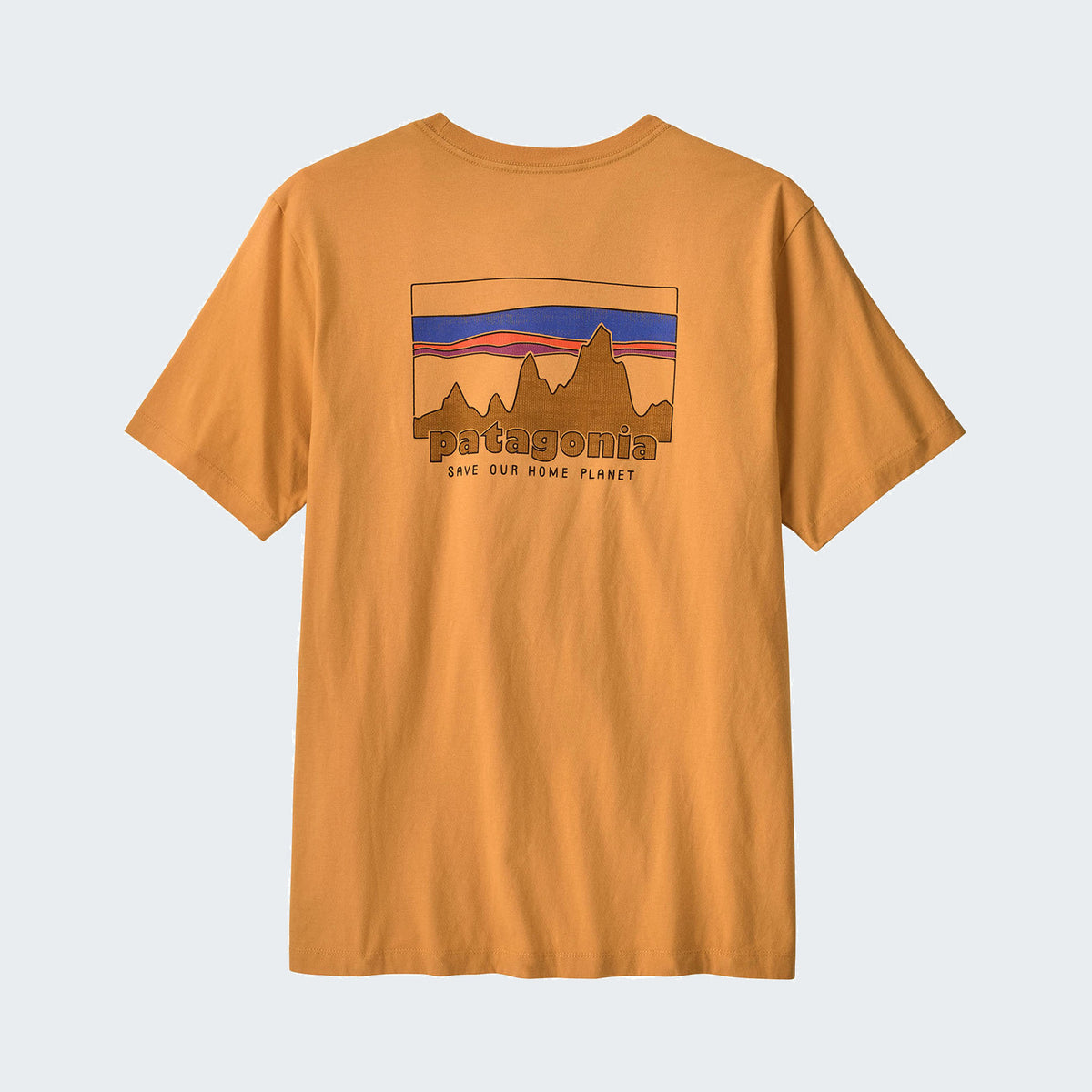 Dried Mango