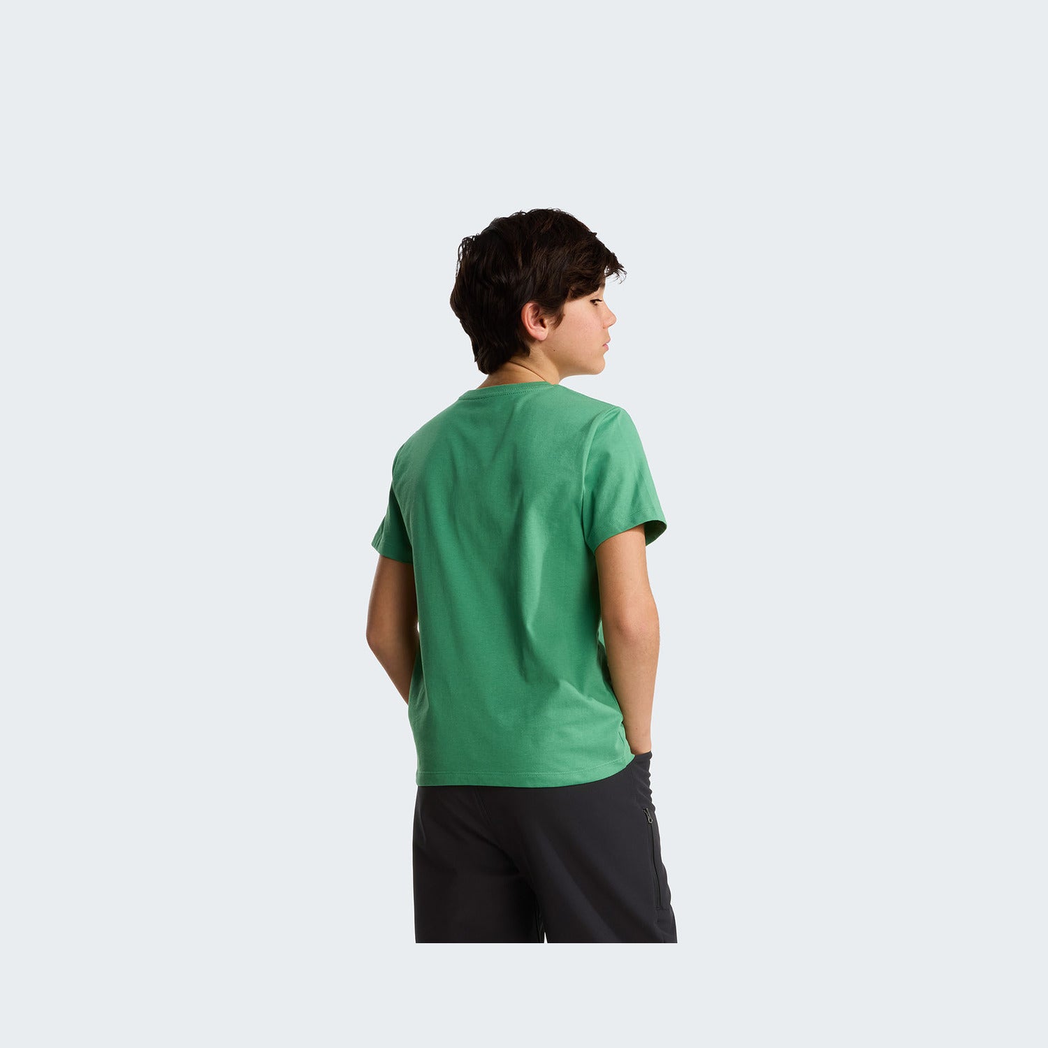 Dimmed Algae