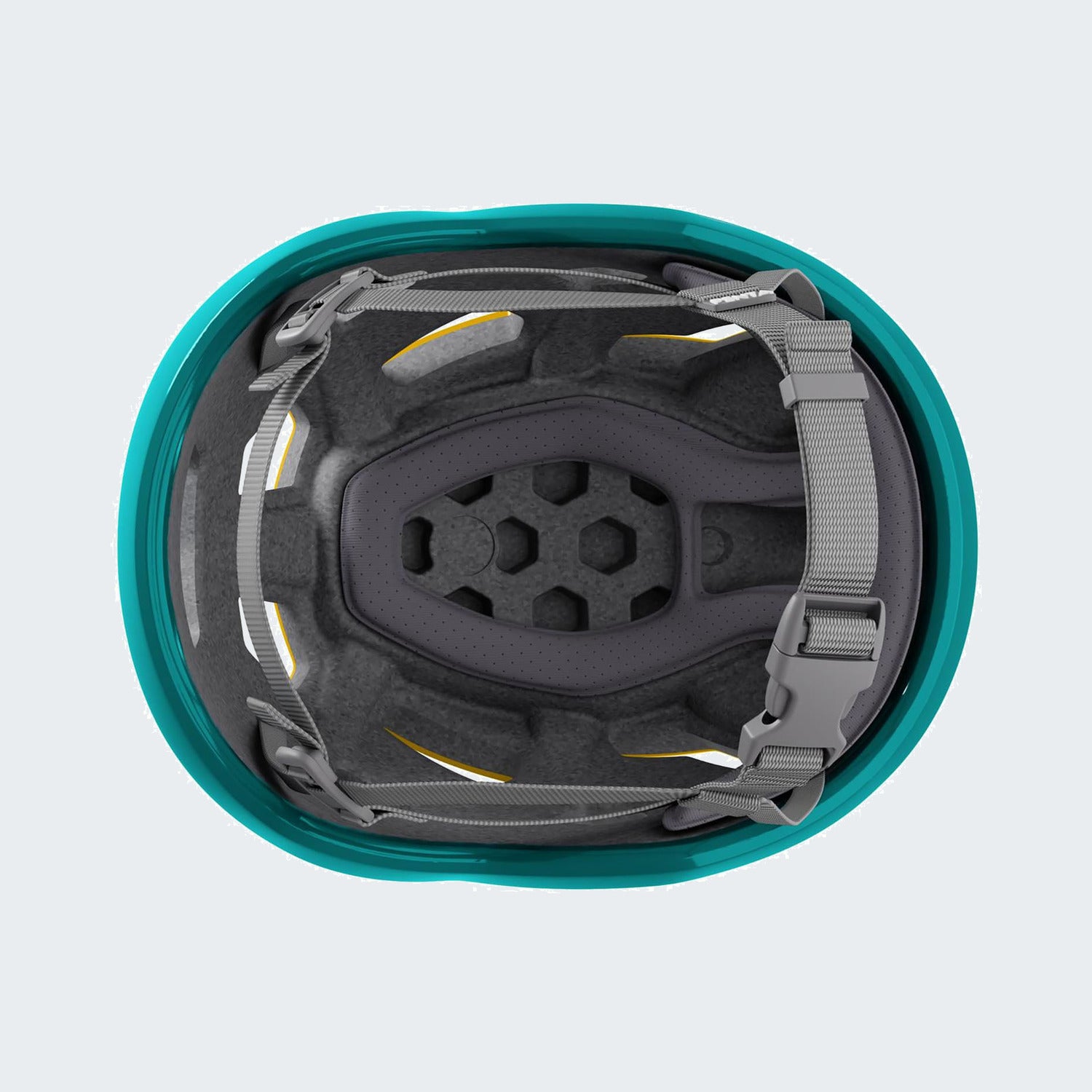 Arnica yellow / Dark teal