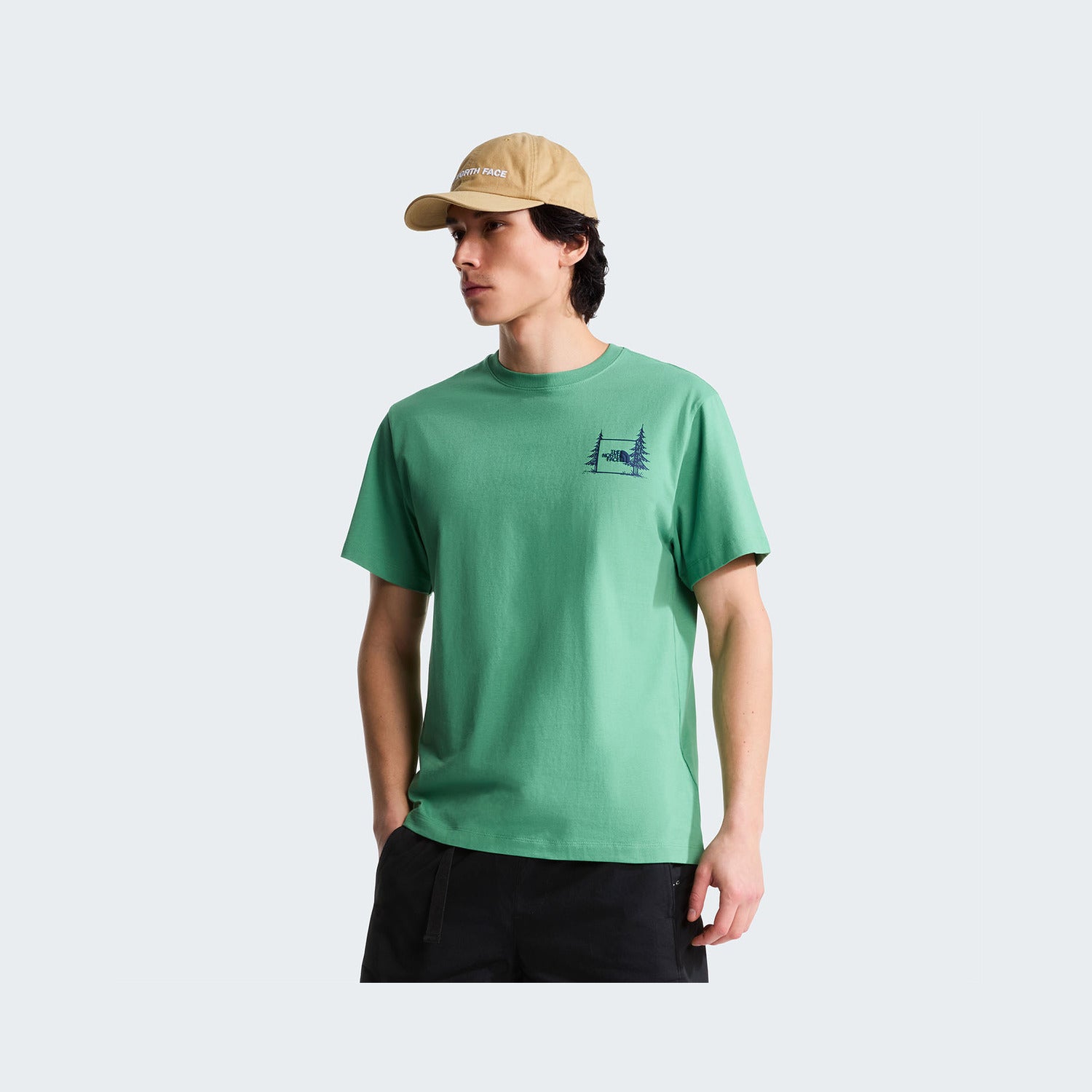 Dimmed Algae