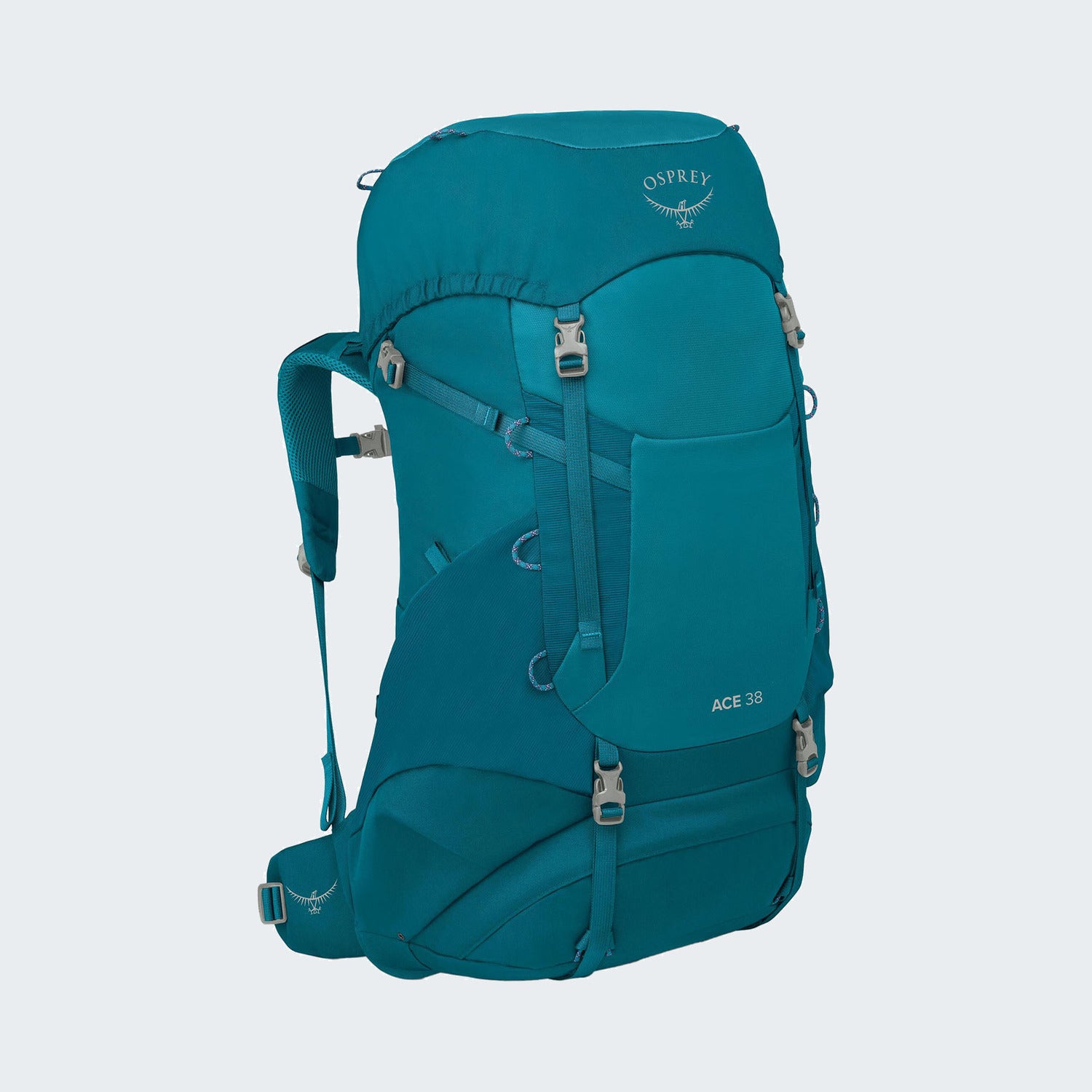 Blue Spikemoss Deep Peyto