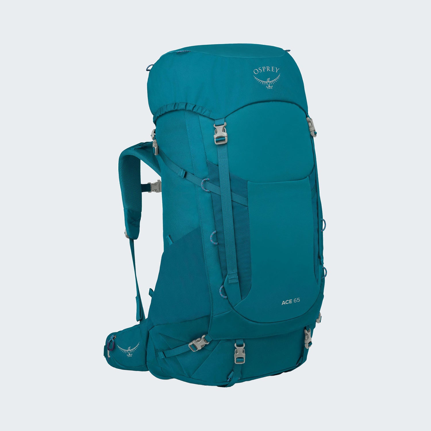 Blue Spikemoss Deep Peyto