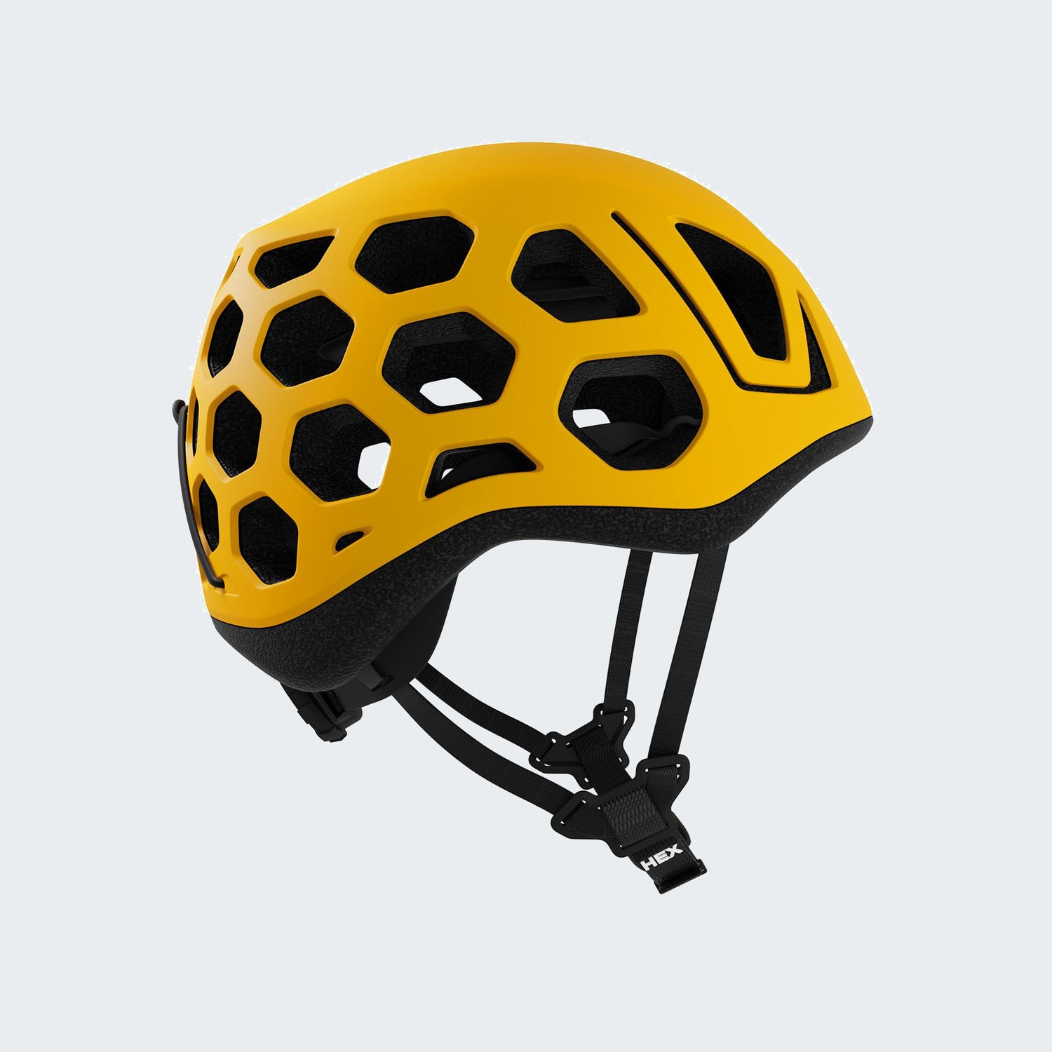 Arnica Yellow