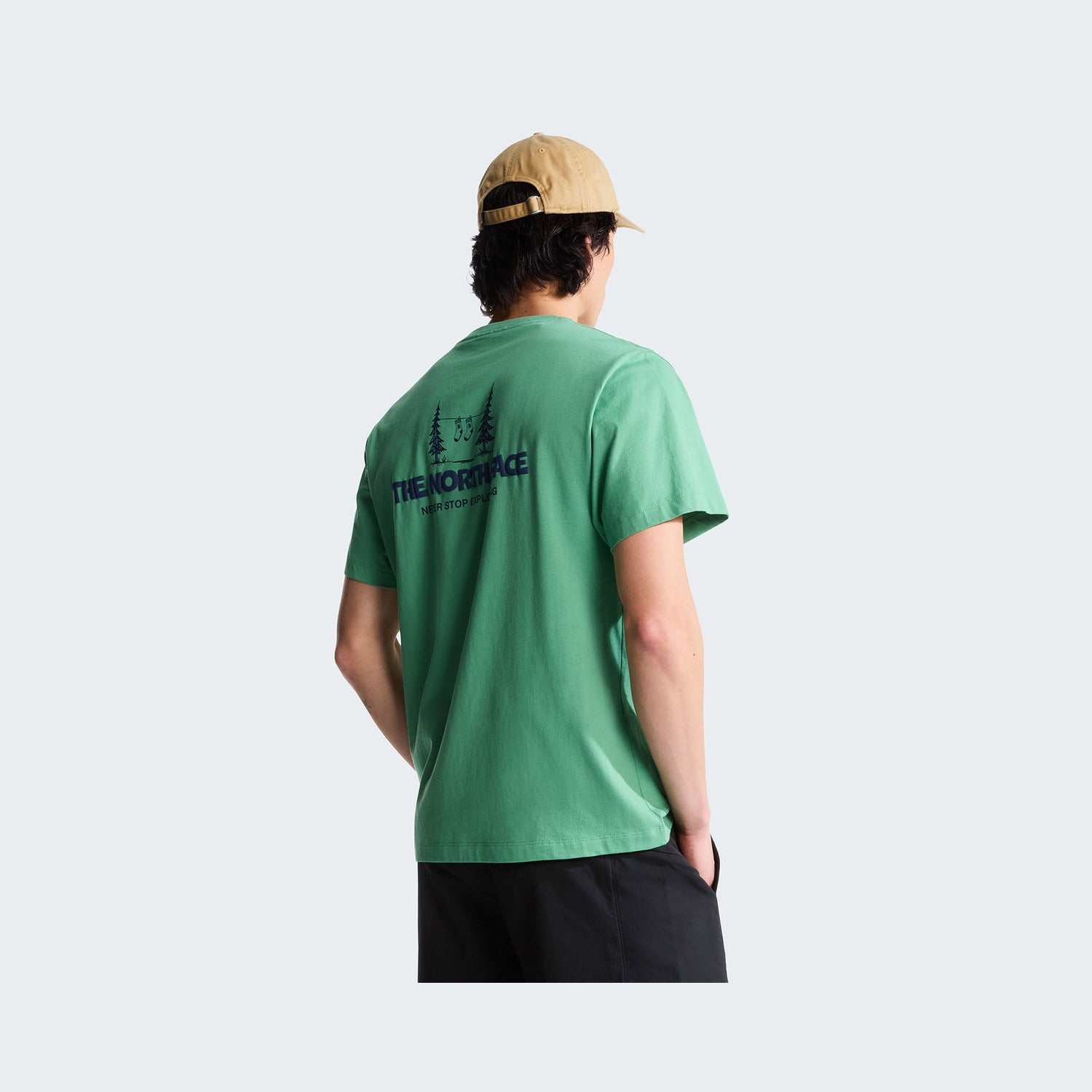 Dimmed Algae