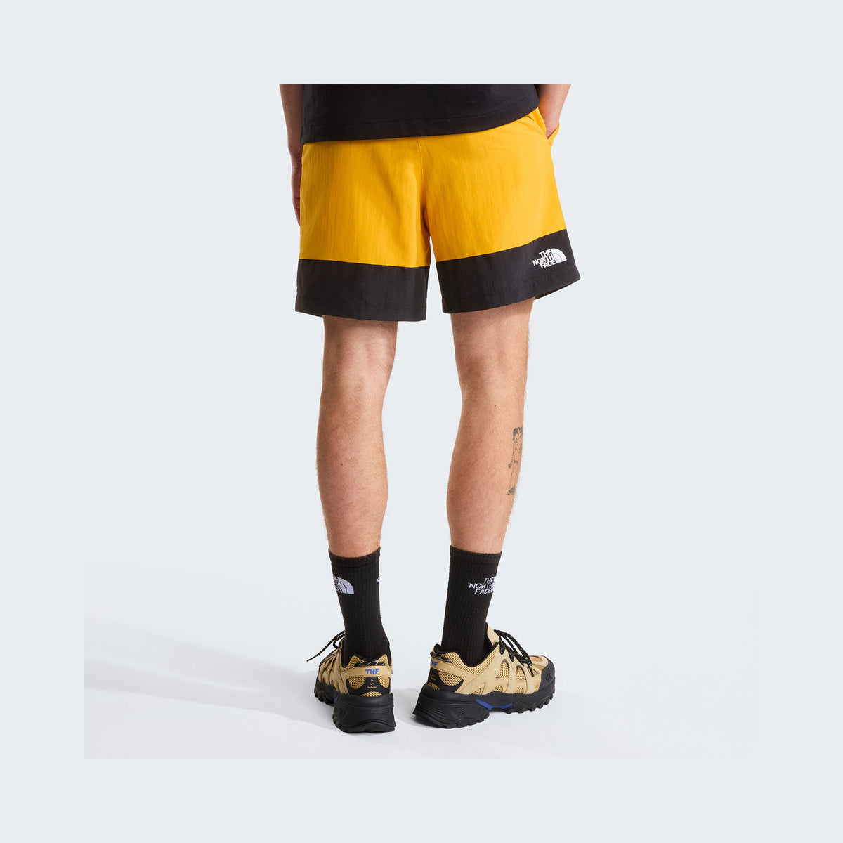 Summit Gold/TNF Black