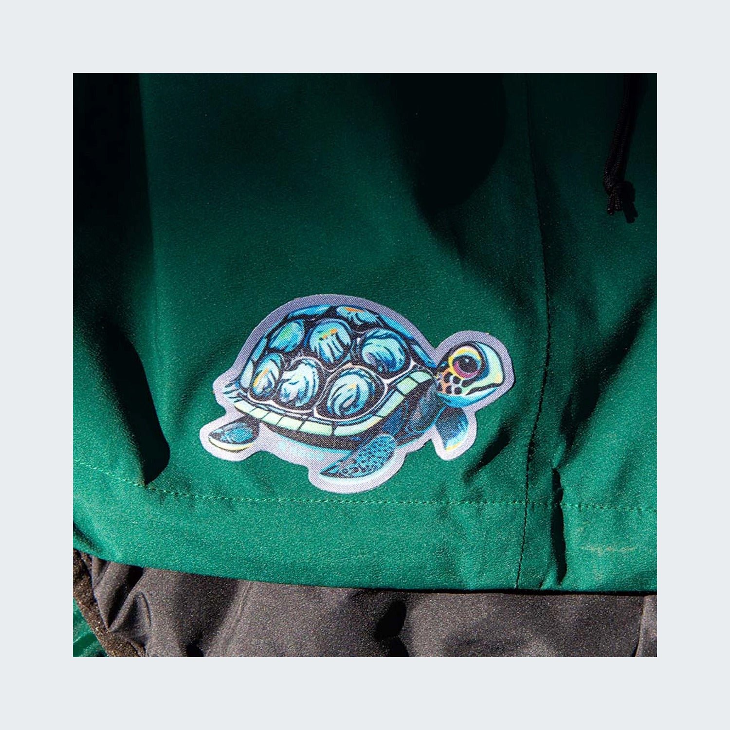 Turtle