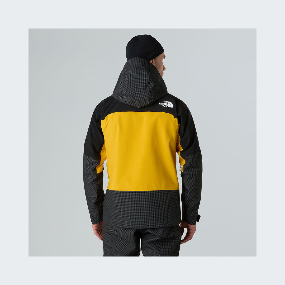 Summit Gold/TNF Black