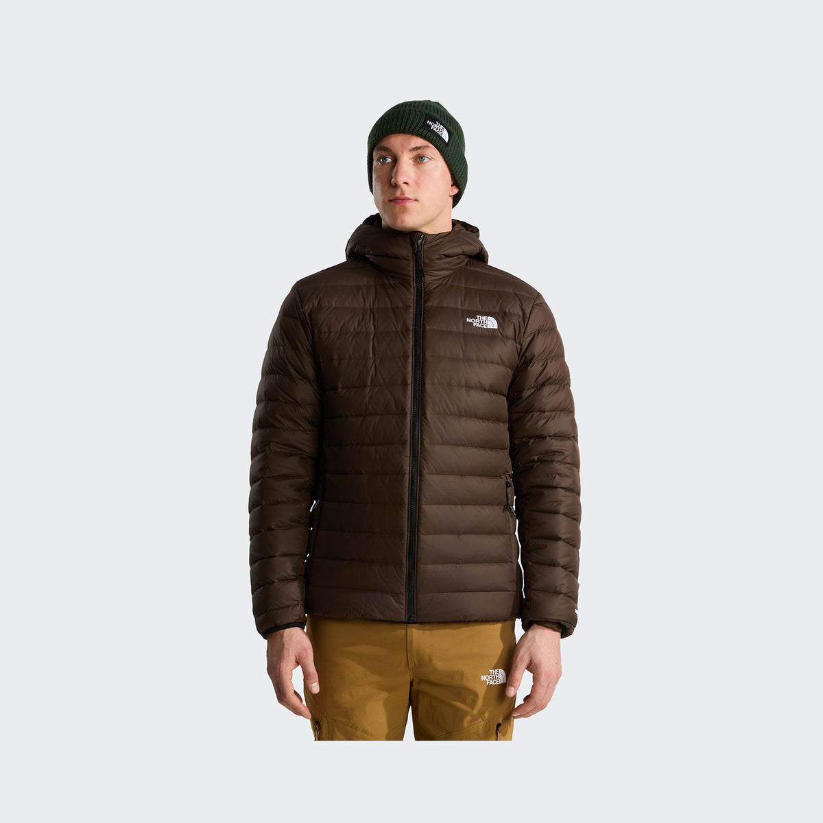 Dark Chestnut