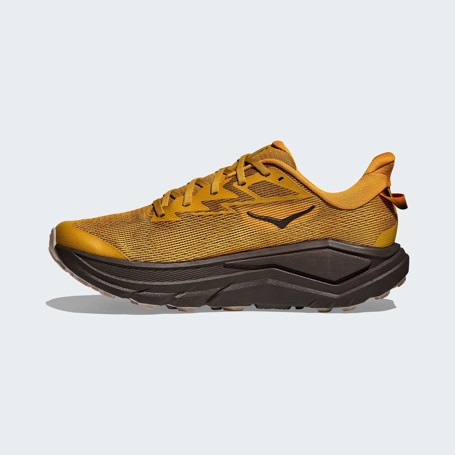 Mustard Seed/Black