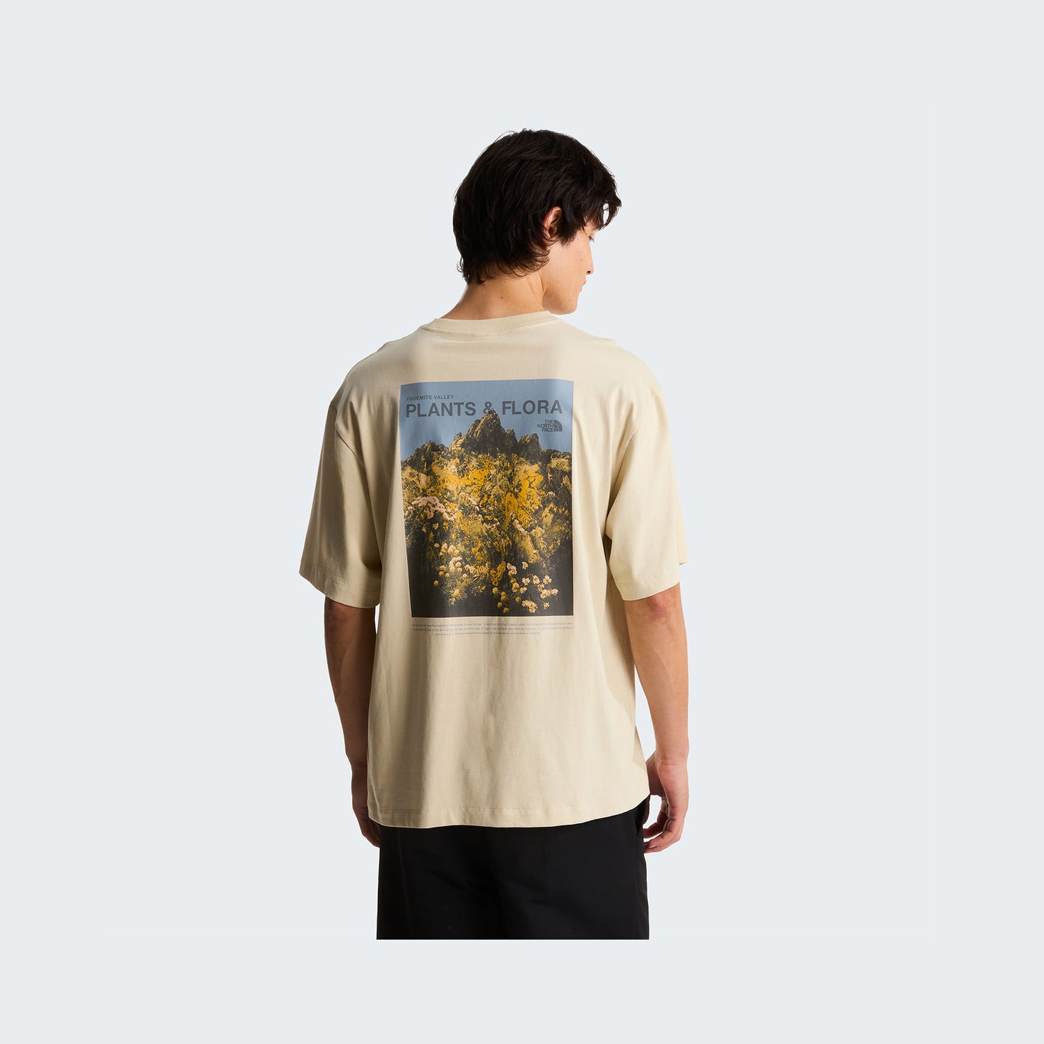 Desert Stone