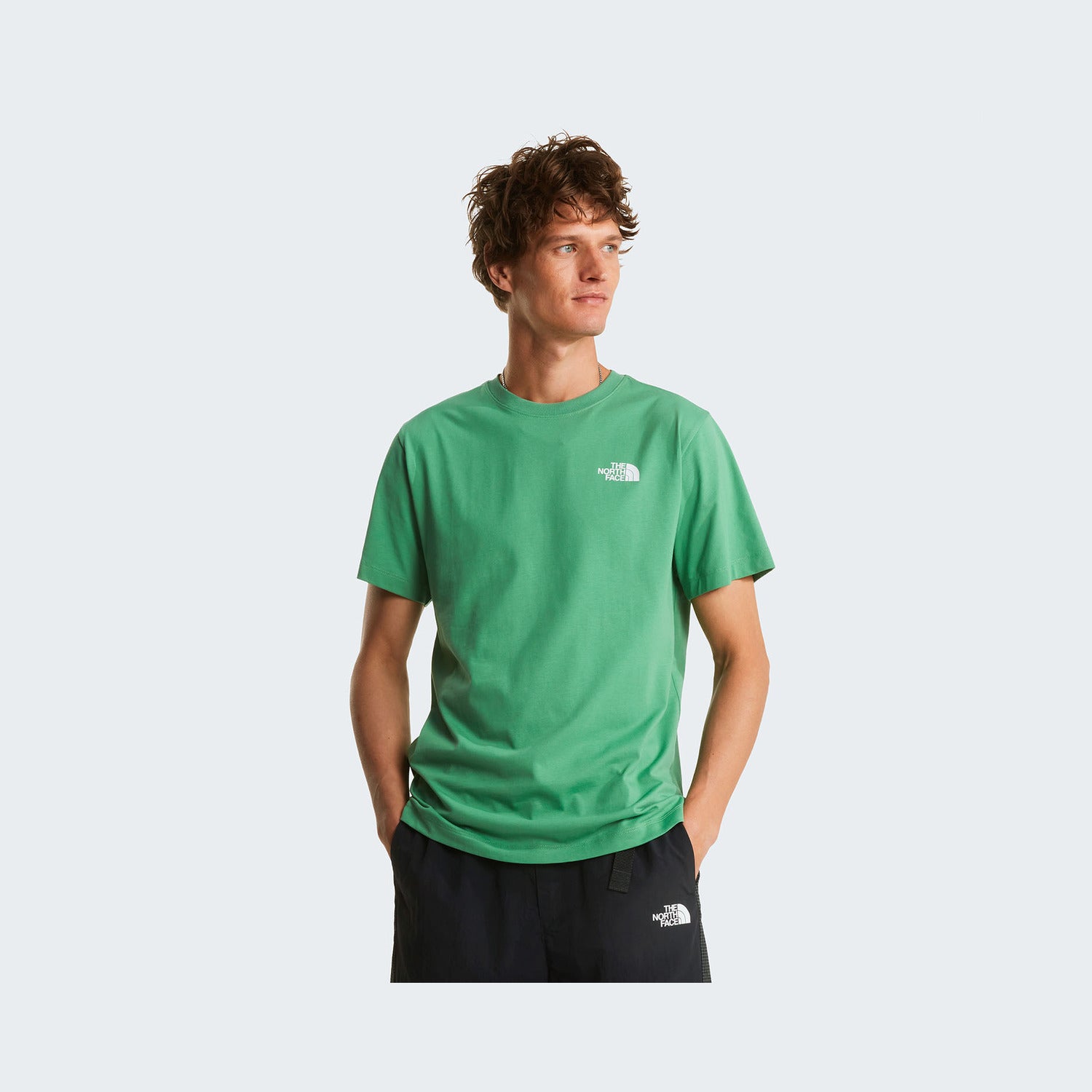 Dimmed Algae