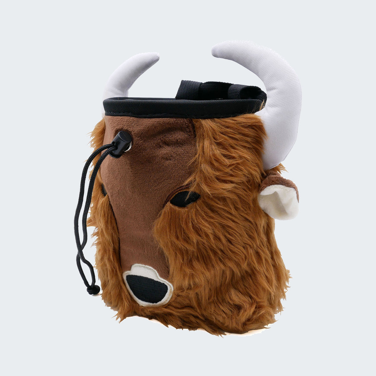 Bison