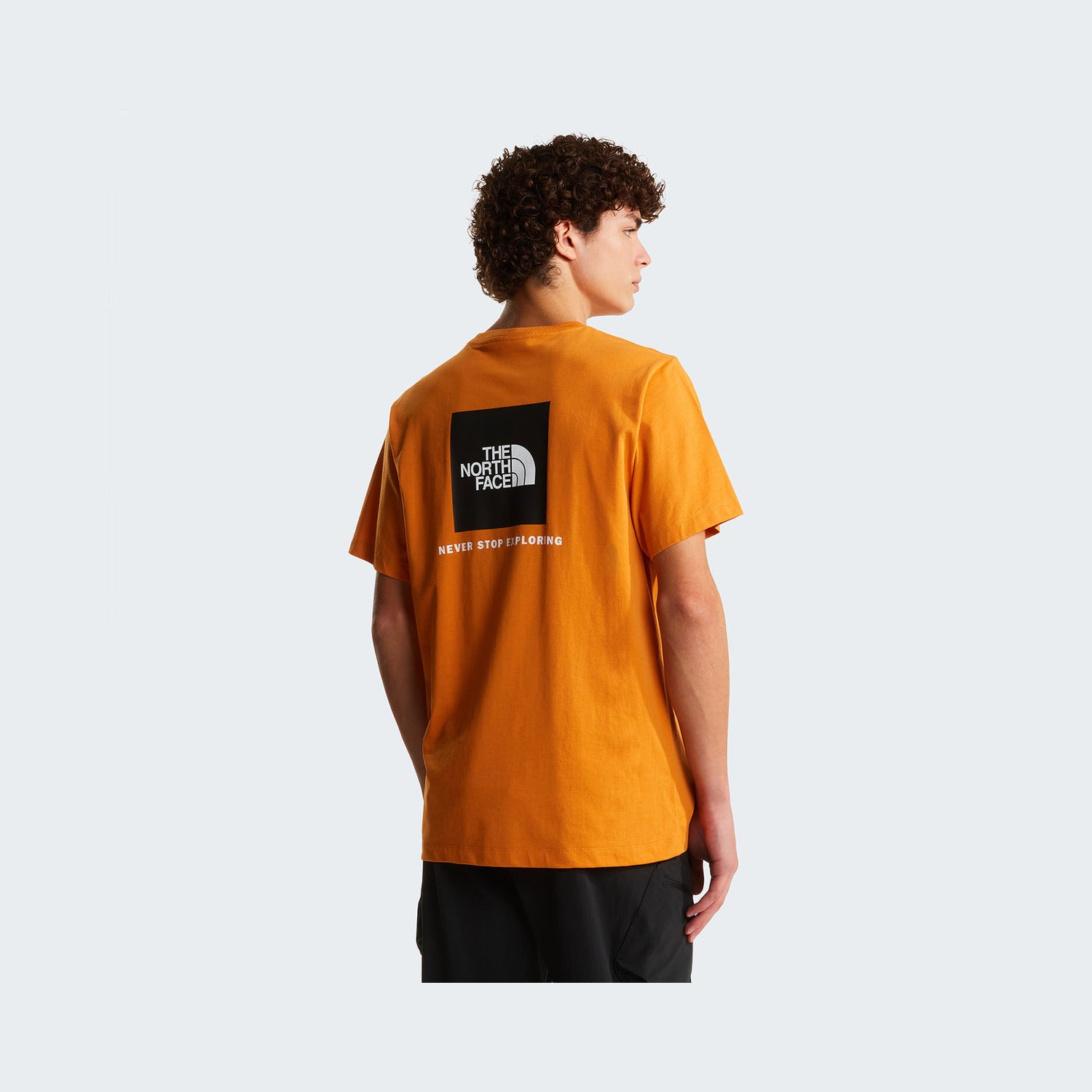 Dust Orange
