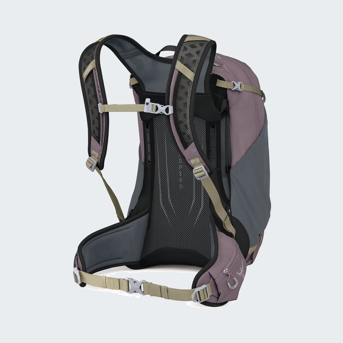Graphite Purple