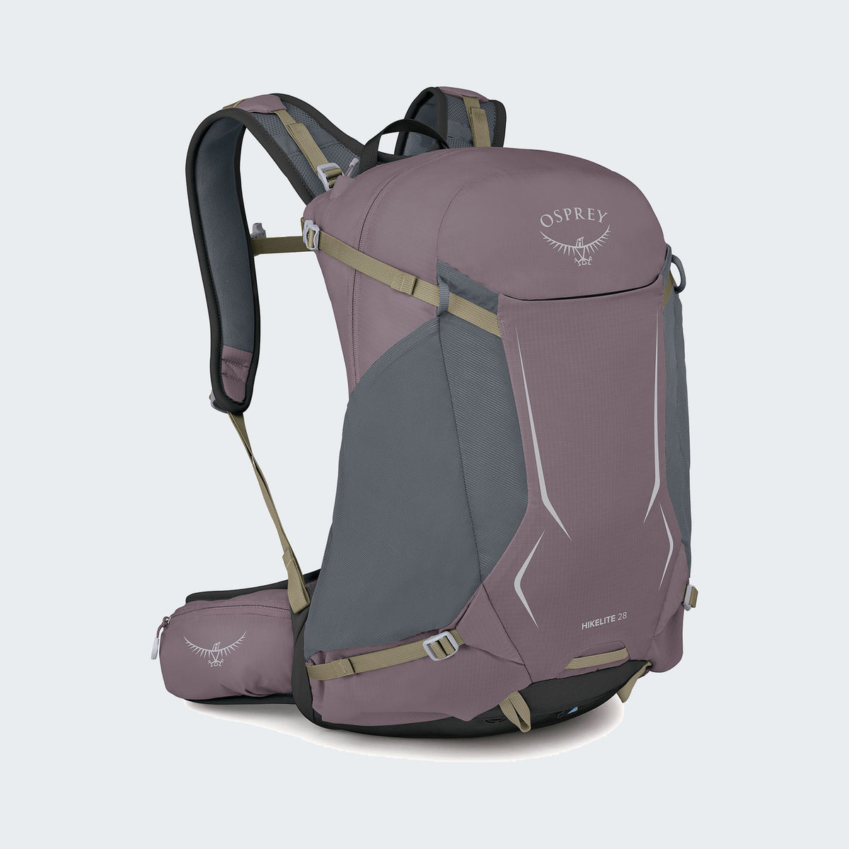 Graphite Purple