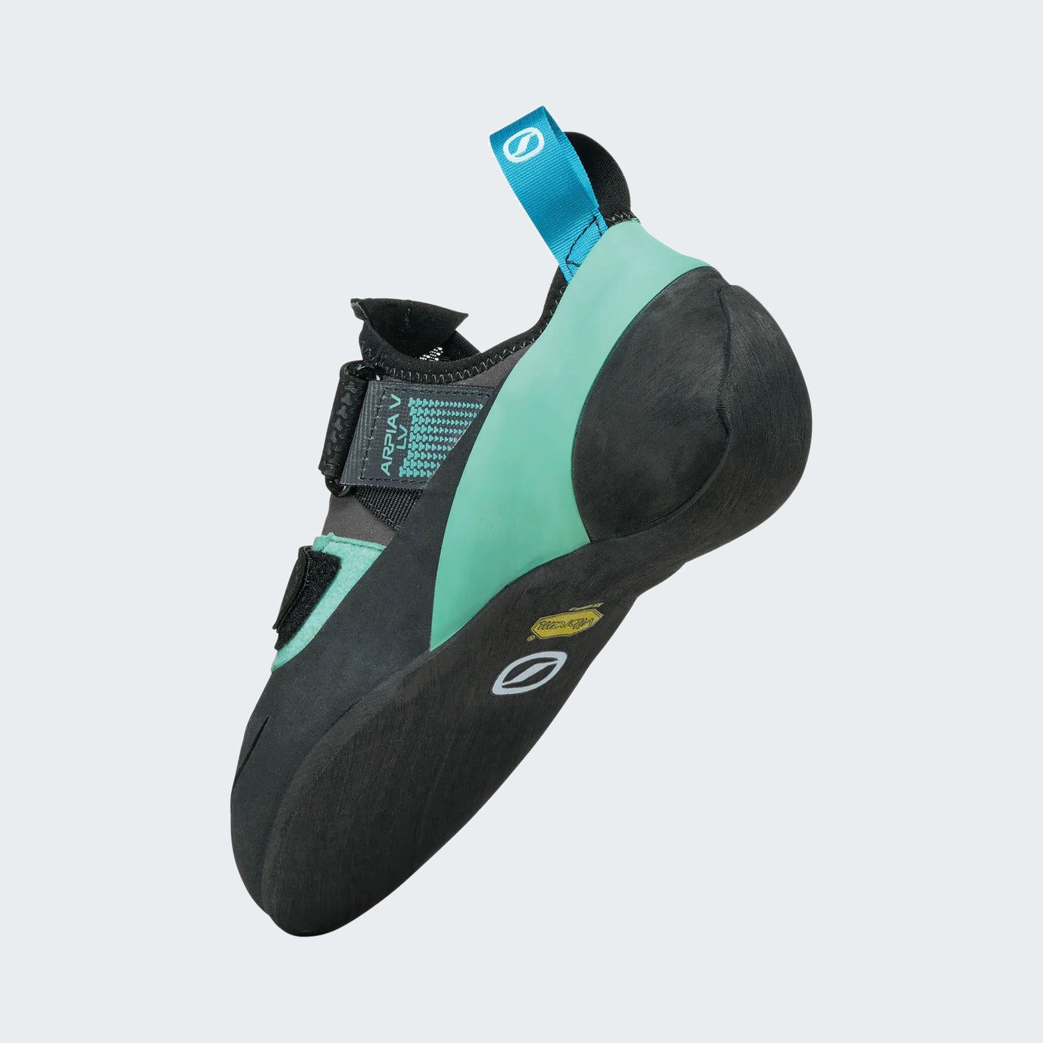 Shark-Aqua