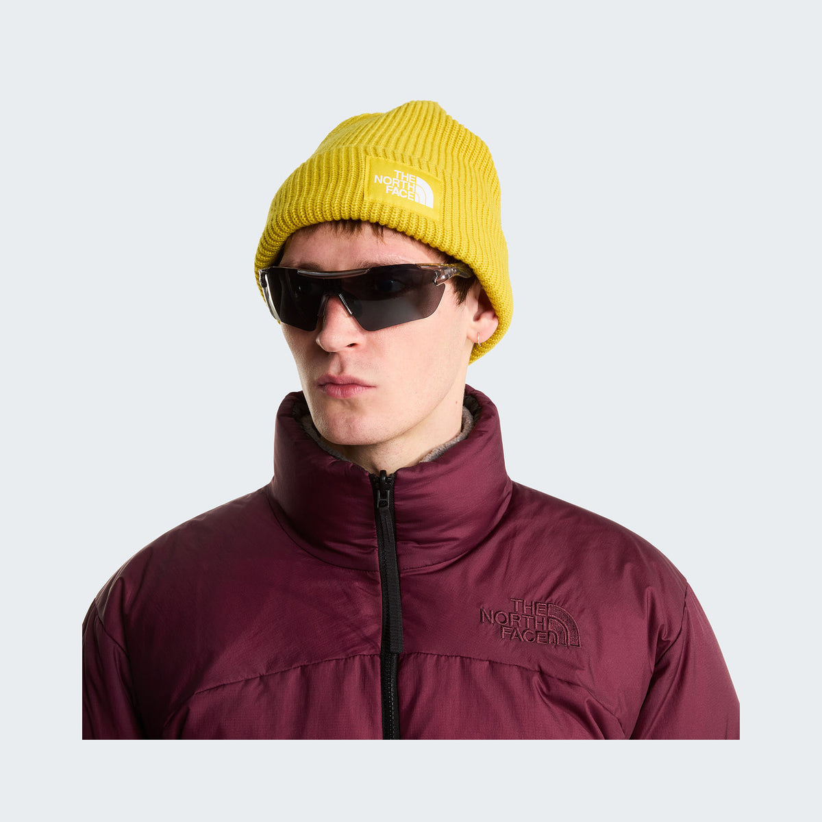 Pigment Yellow
