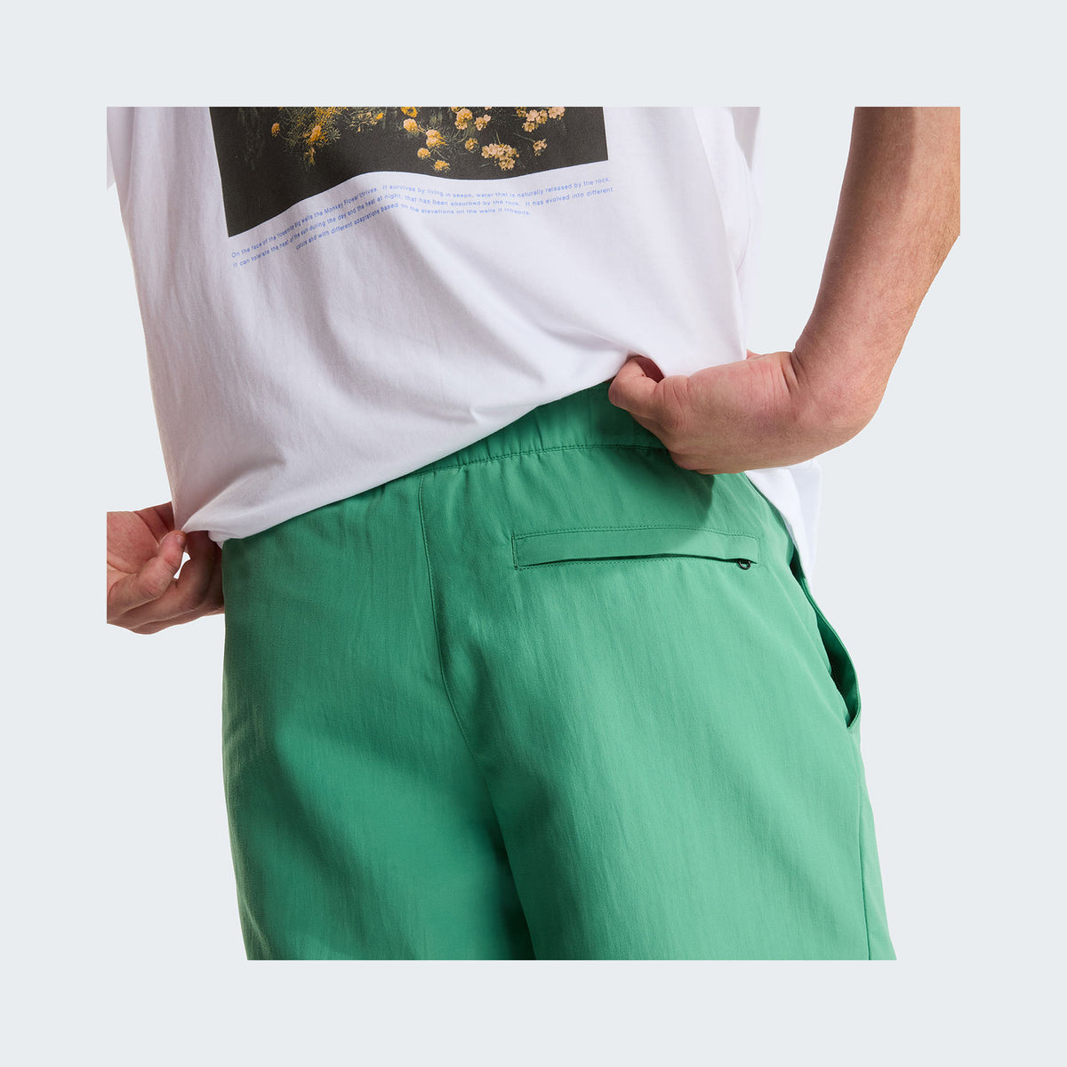 Dimmed Algae/TNF Black