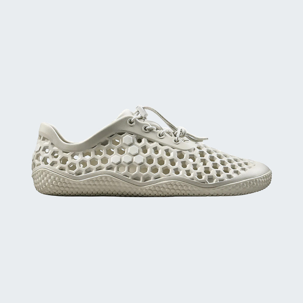Lunar Rock
