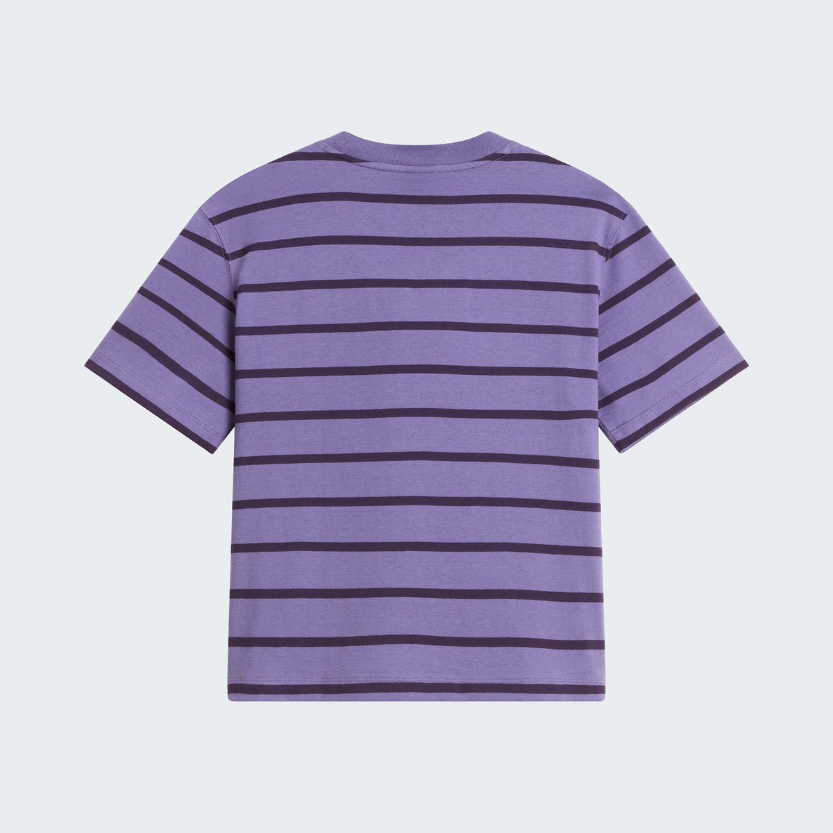 Grounded Plum TNF Open Stripe