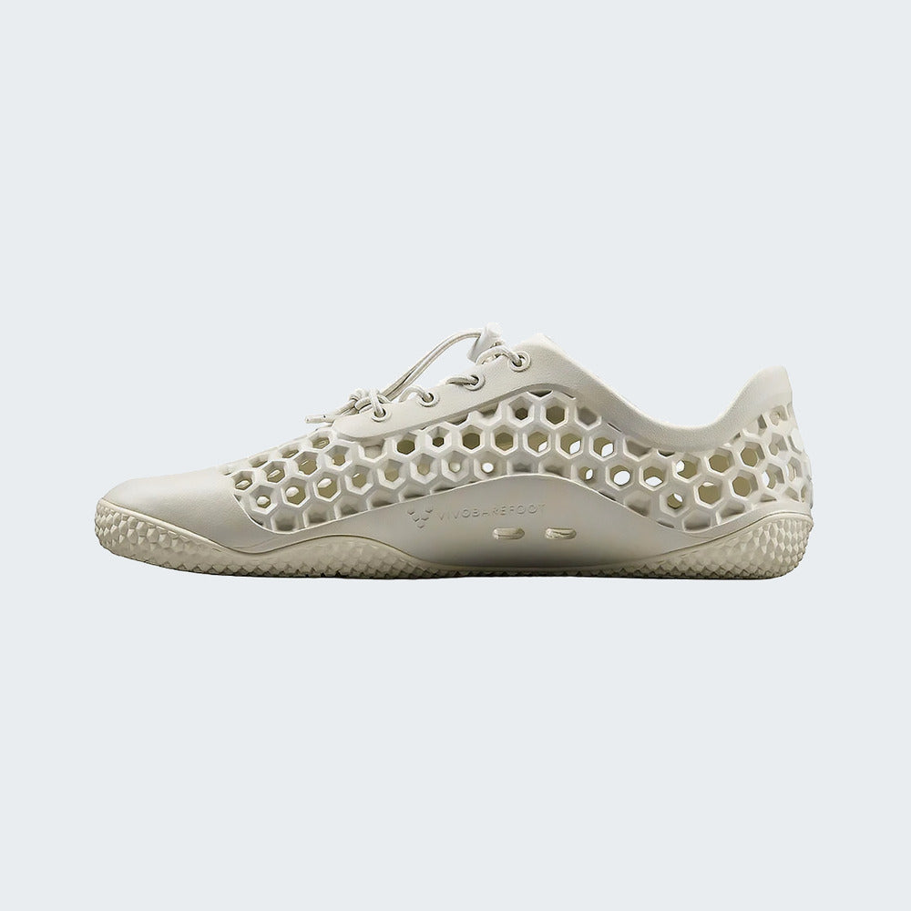 Lunar Rock
