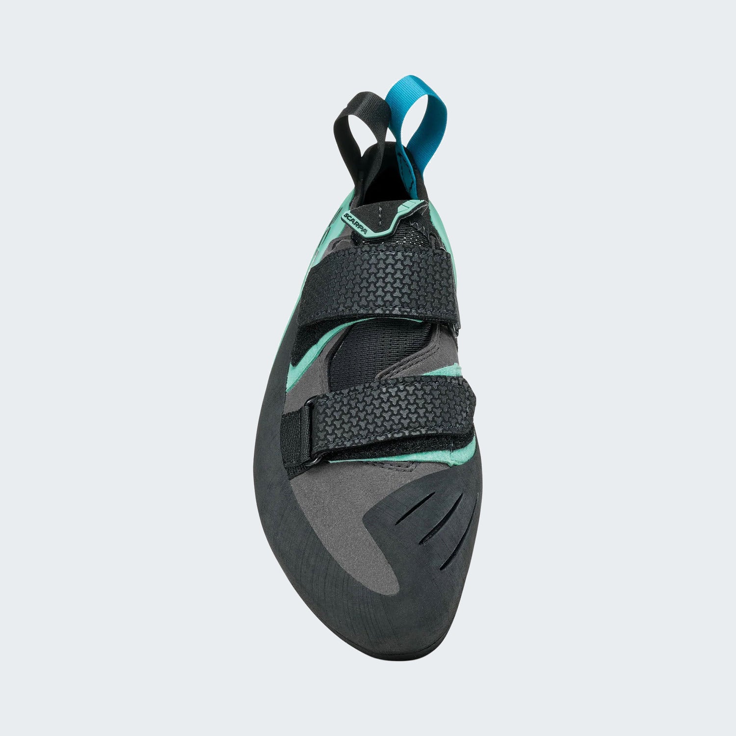 Shark-Aqua