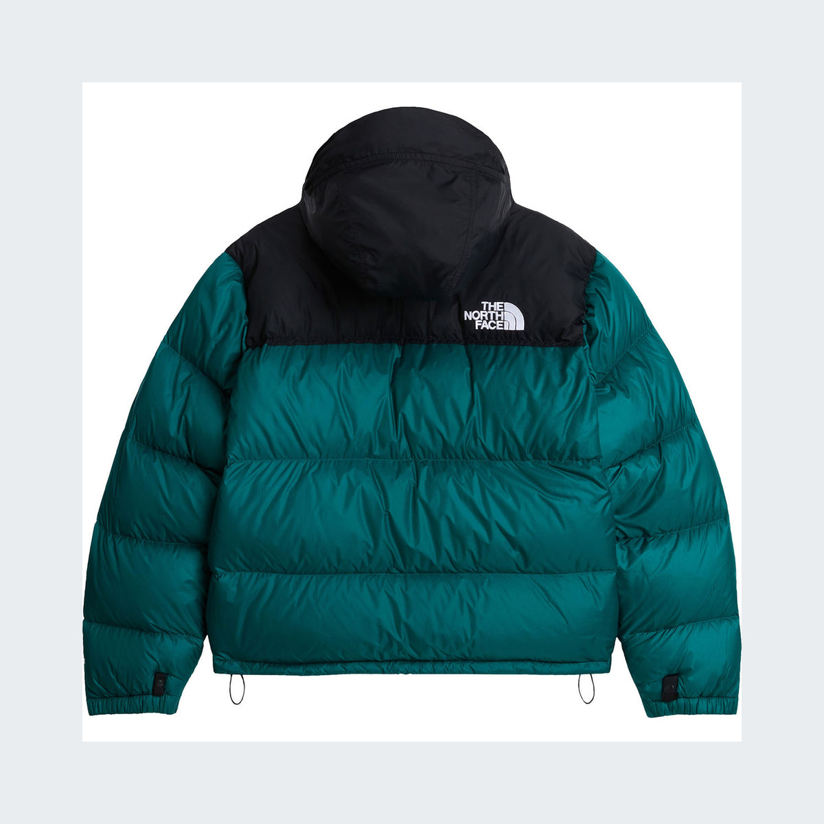 Pacific Teal/TNF Black