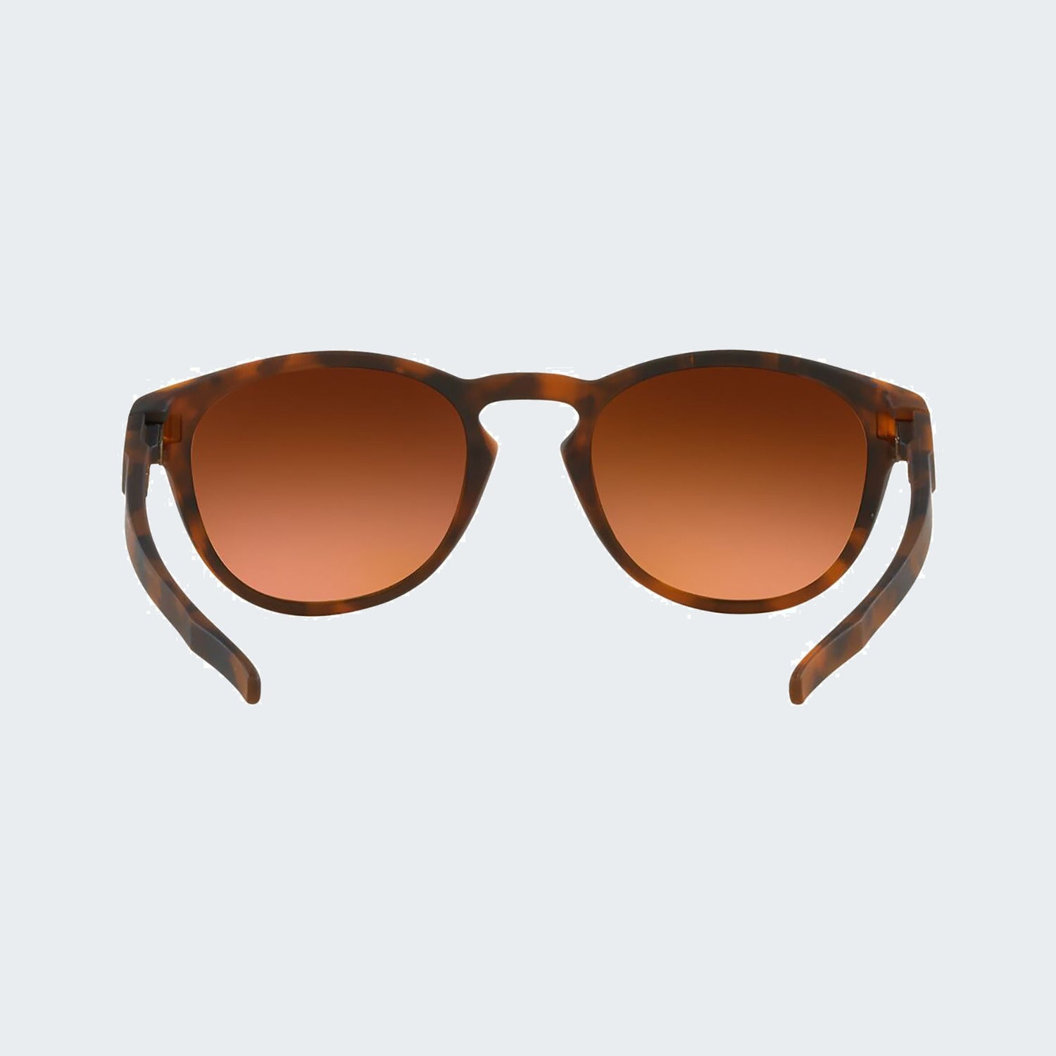 Matte Brown Tortoise / Prizm Brown Gradient