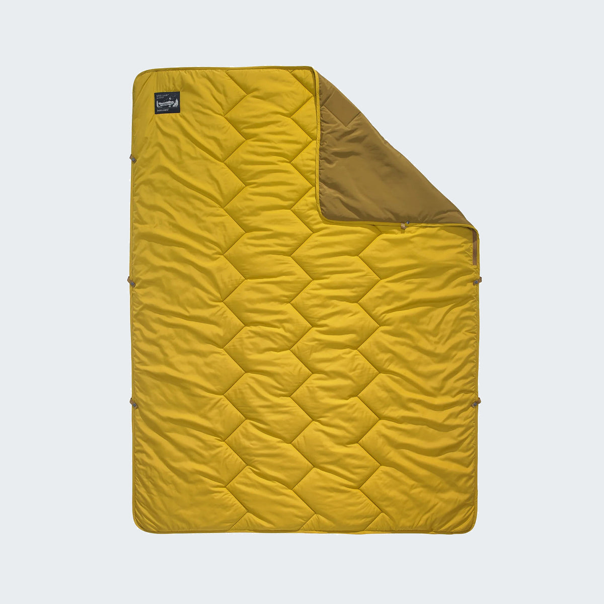 Wheat