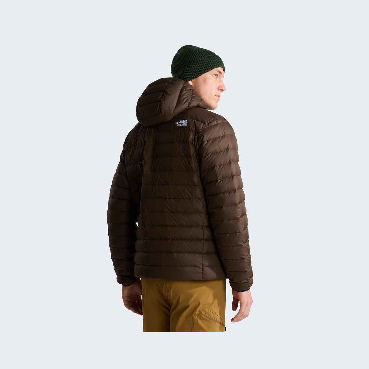 Dark Chestnut