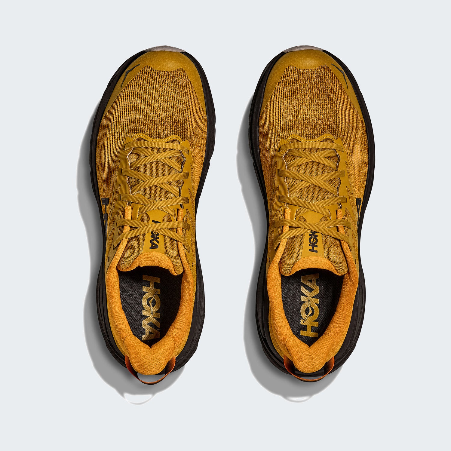 Mustard Seed/Black