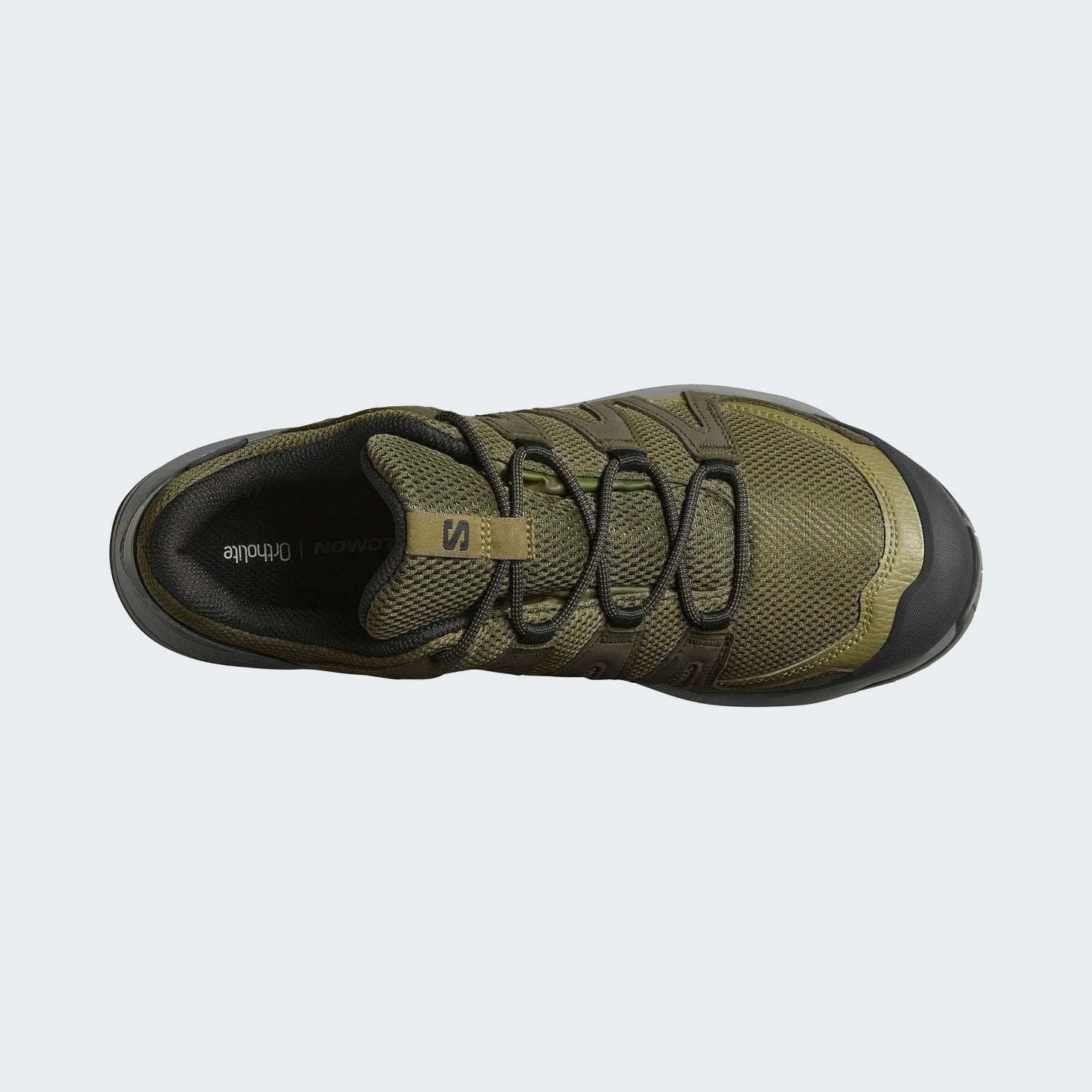 Olive Night/Martini Olive/Pewter