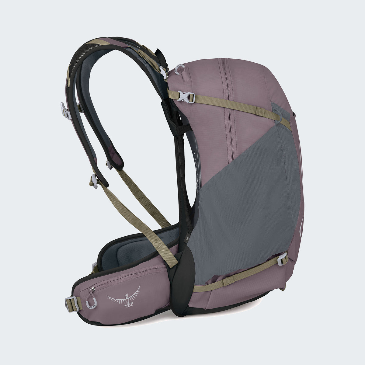 Graphite Purple