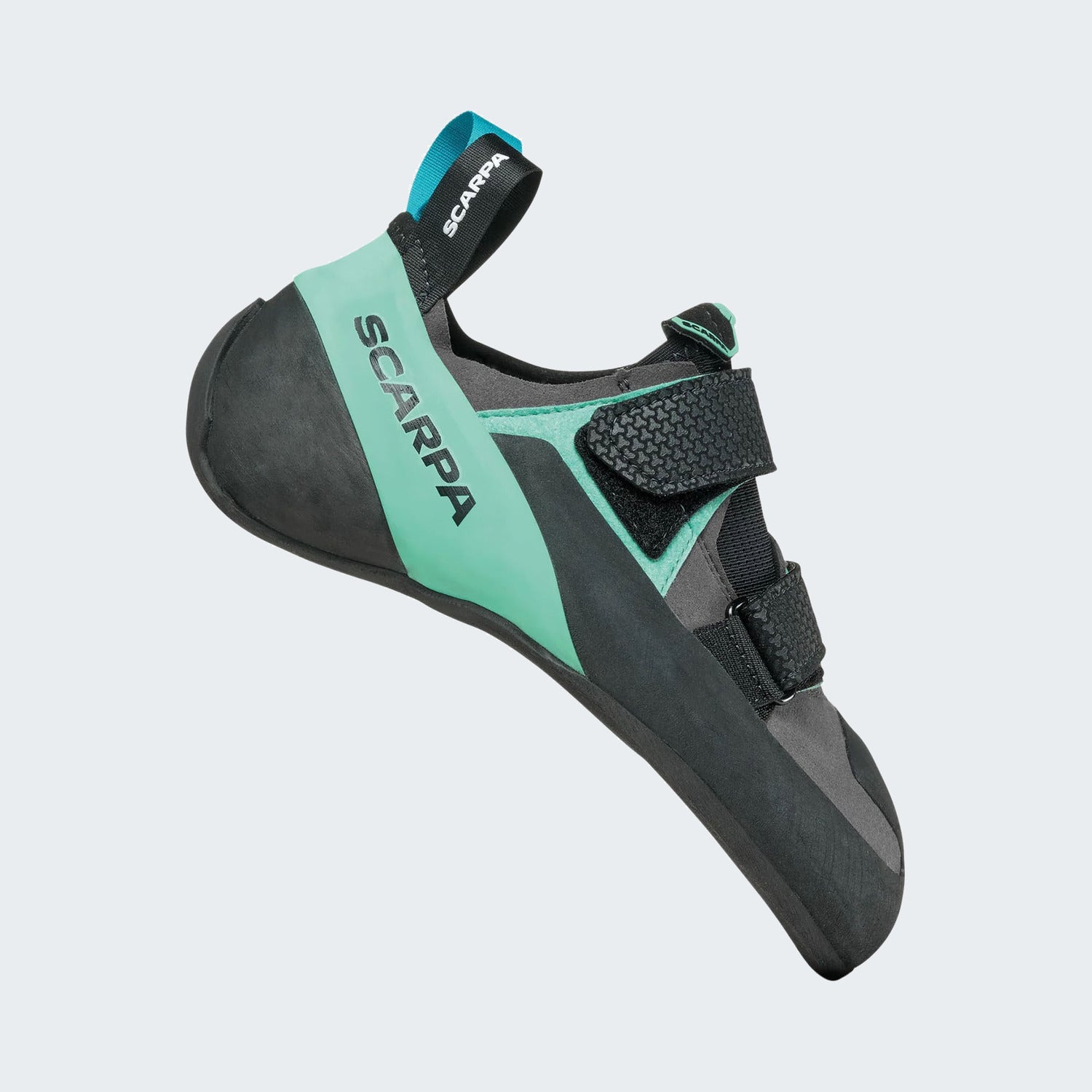 Shark-Aqua