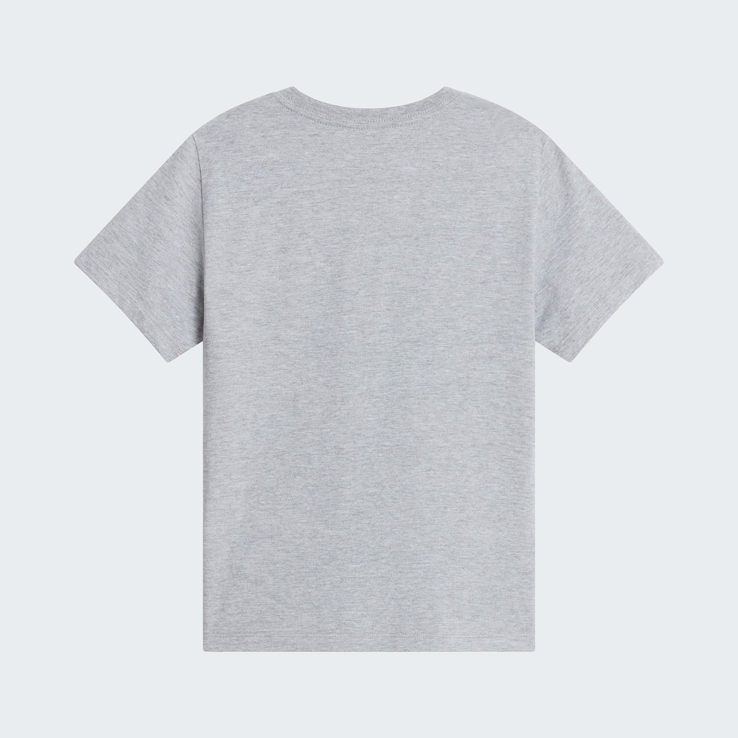 TNF Pale Grey Heather