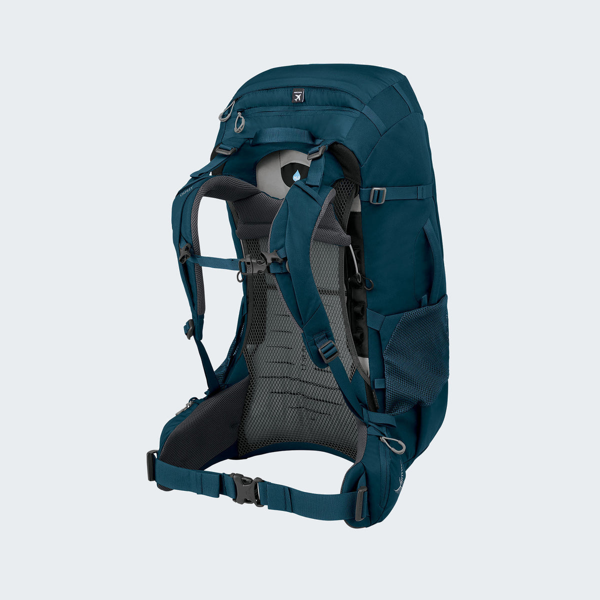 Night Jungle Blue