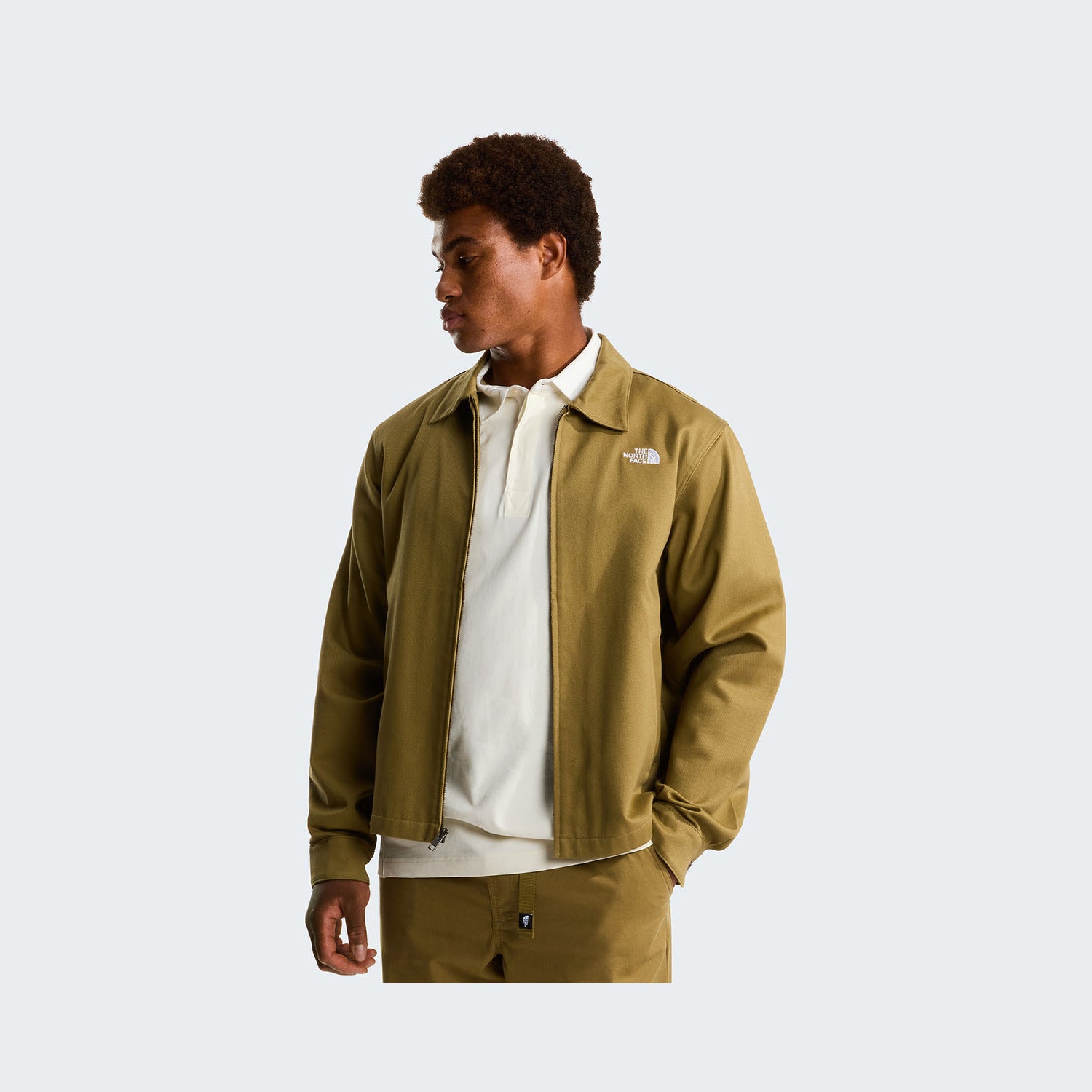 Cedar
