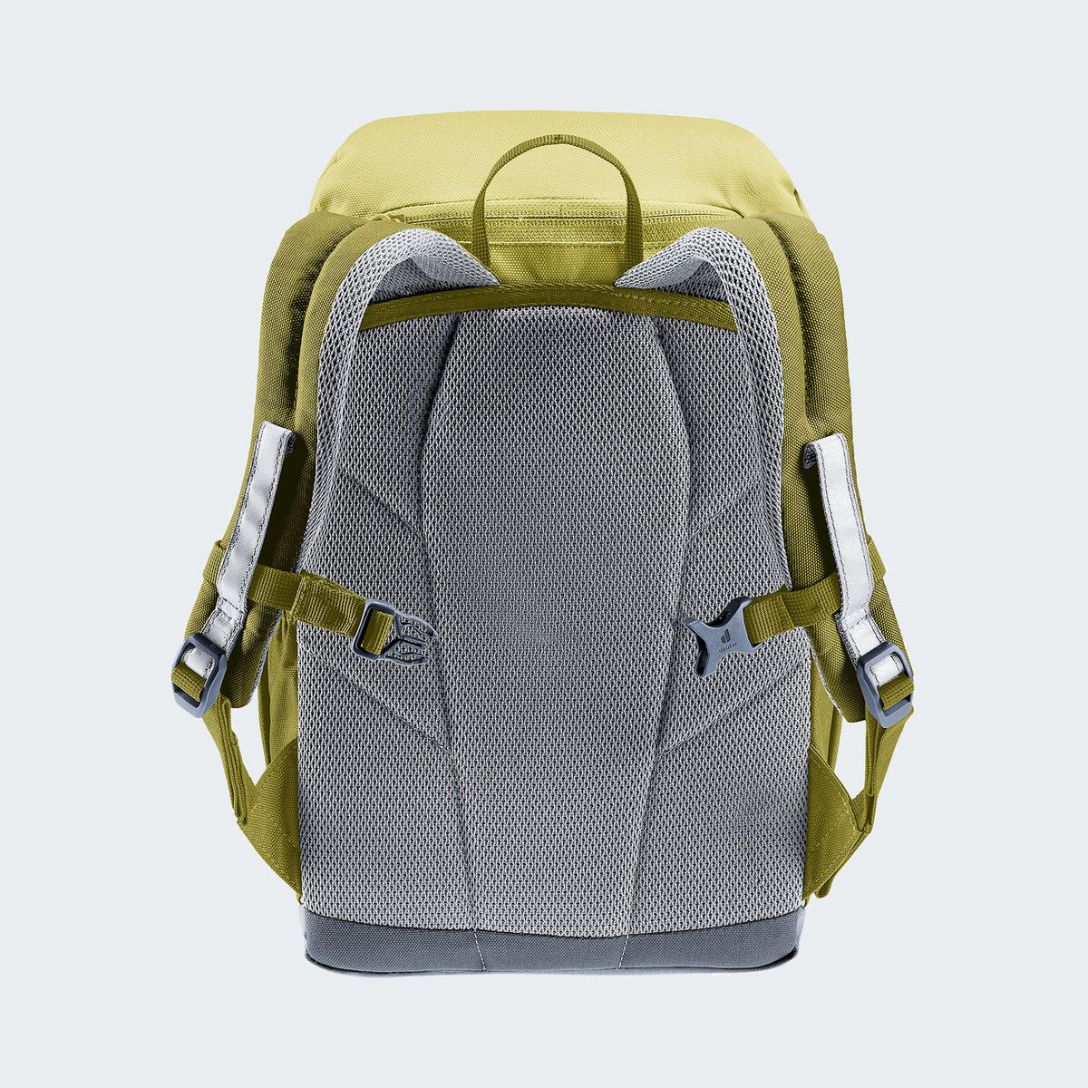 Linden-Cactus