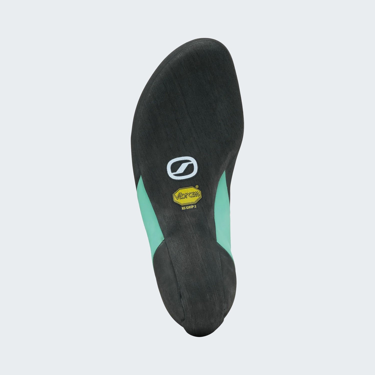 Shark-Aqua