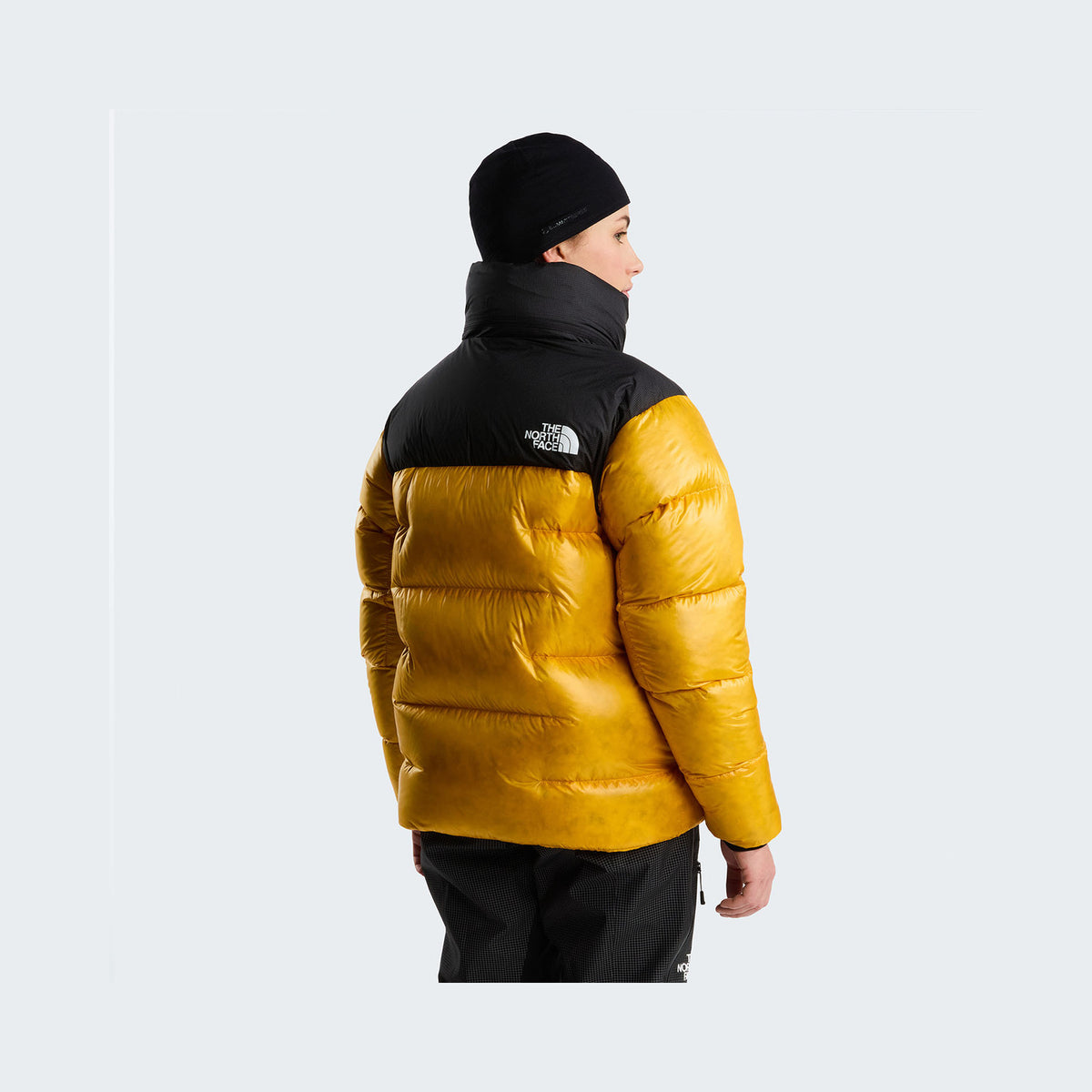 Summit Gold/TNF Black